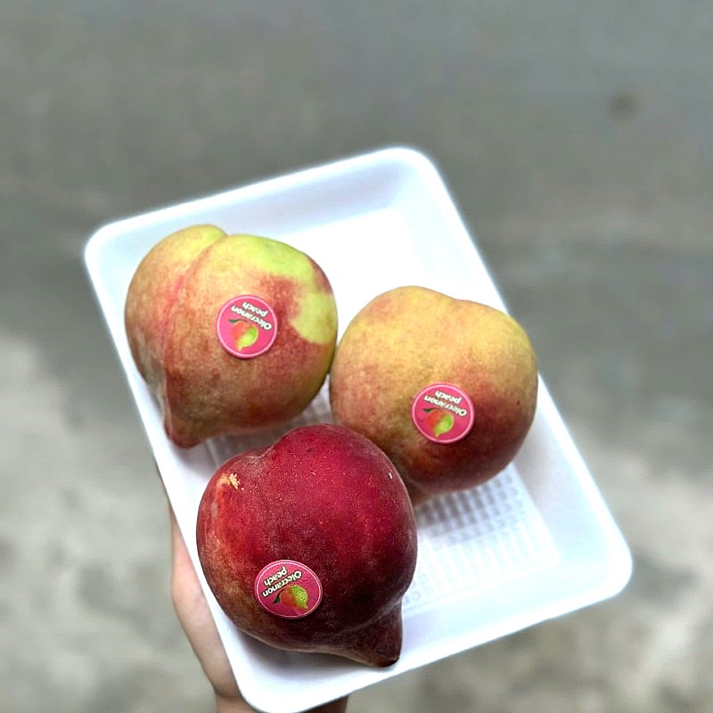 Đào Tuyết Lệ Giang