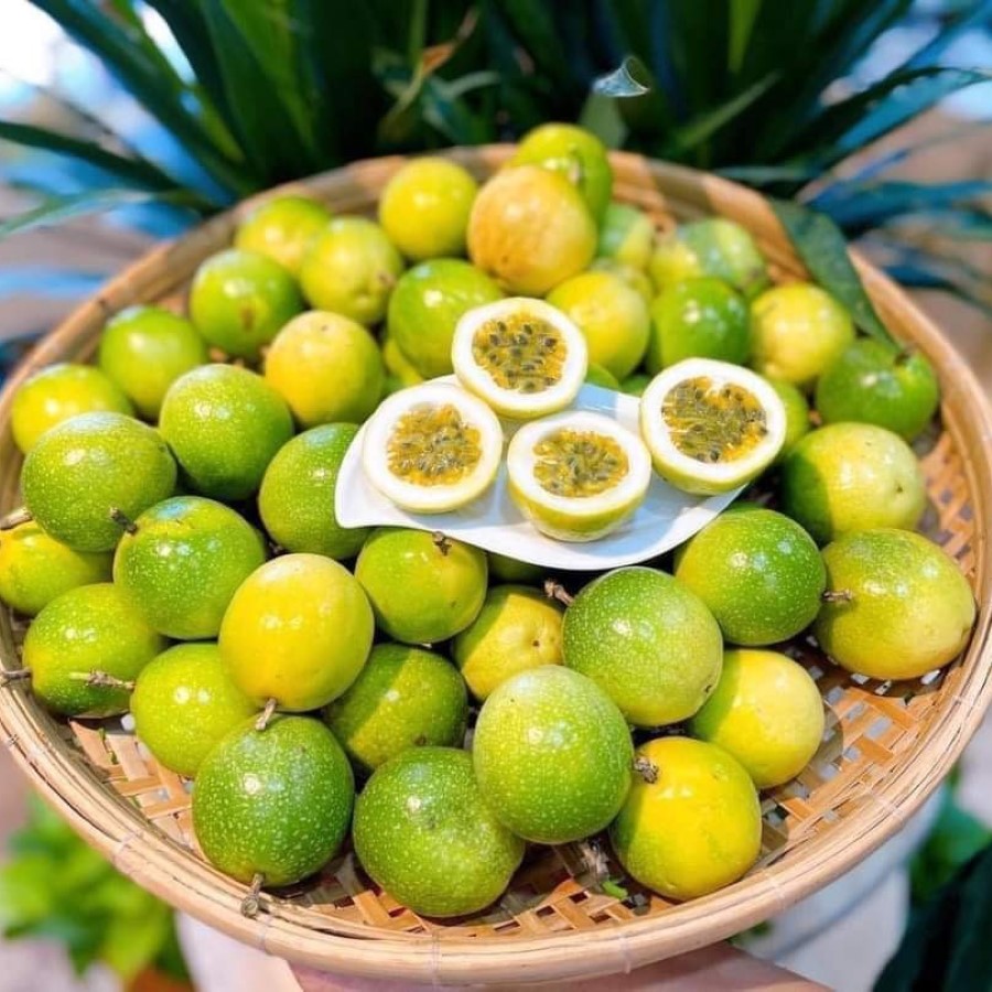 Chanh Dây Vàng Hương Ổi_thumbnail_2