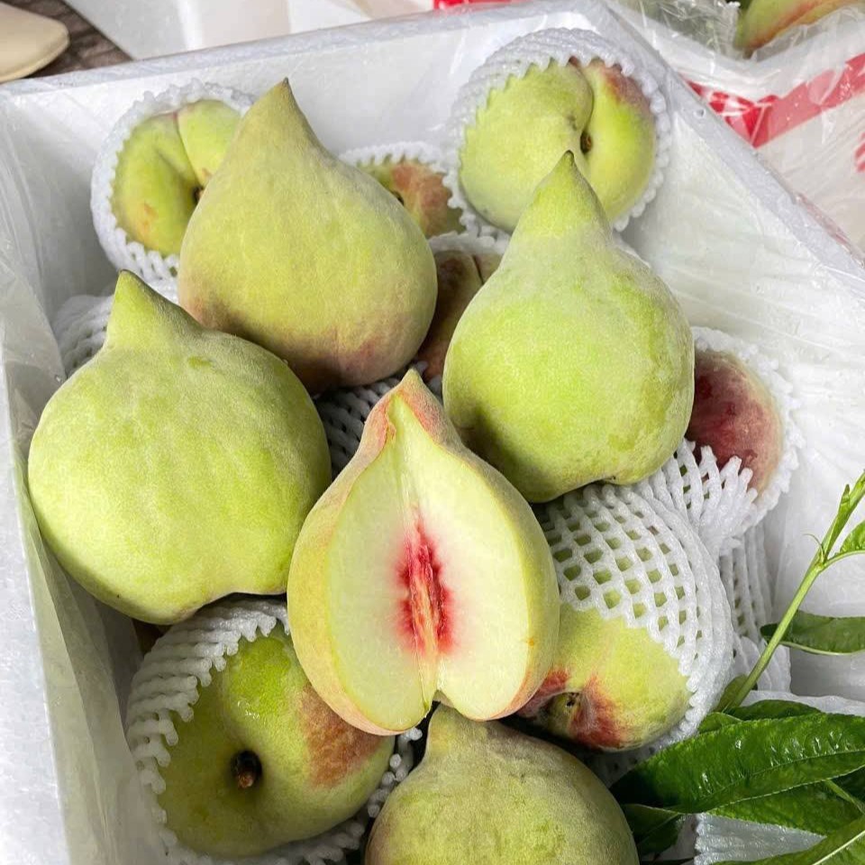 Đào Mỏ Quạ Mộng Tự Vân Nam