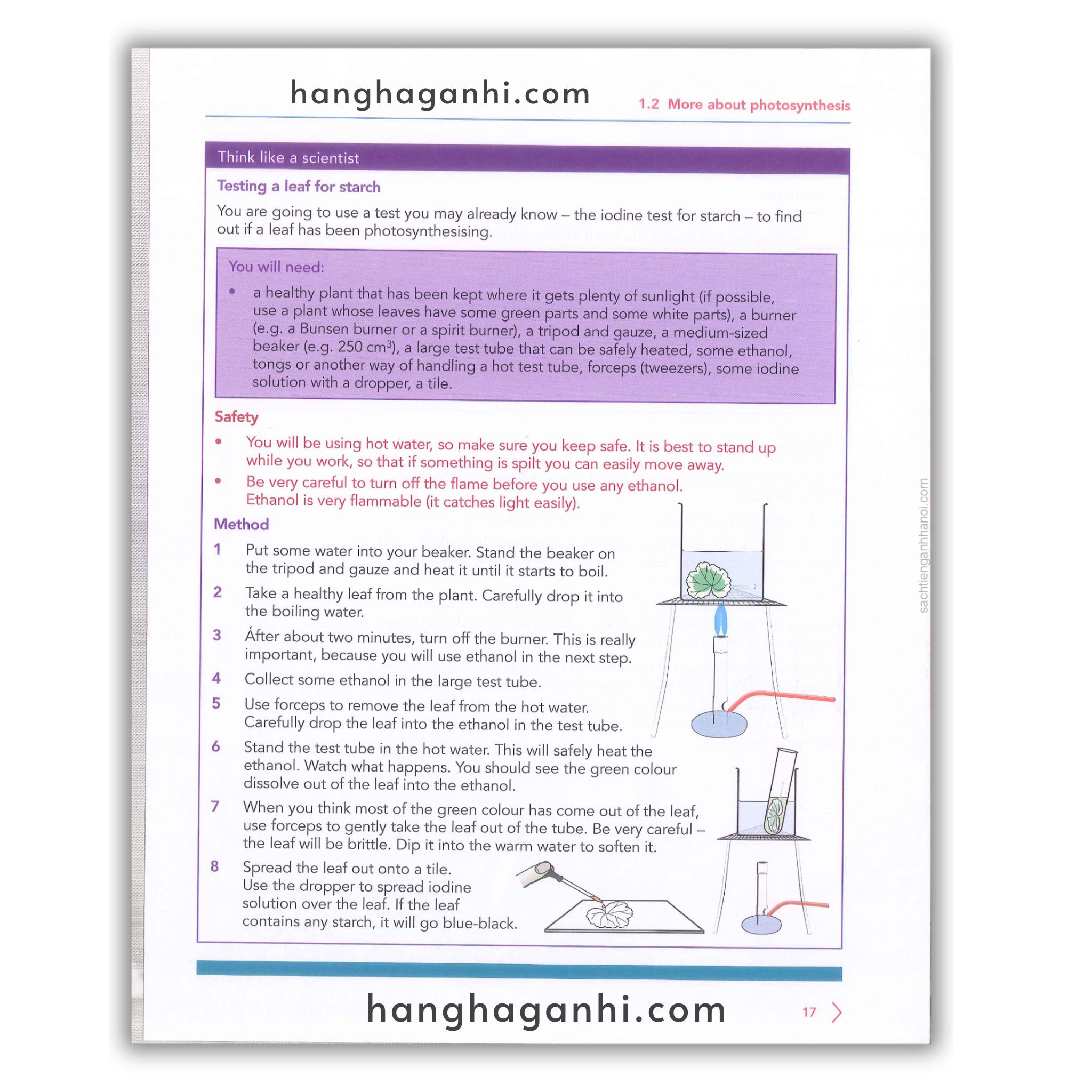 Cambridge Level 9 Lower Secondary Science Learner’s Book 2nd Edition 2021_thumbnail_10