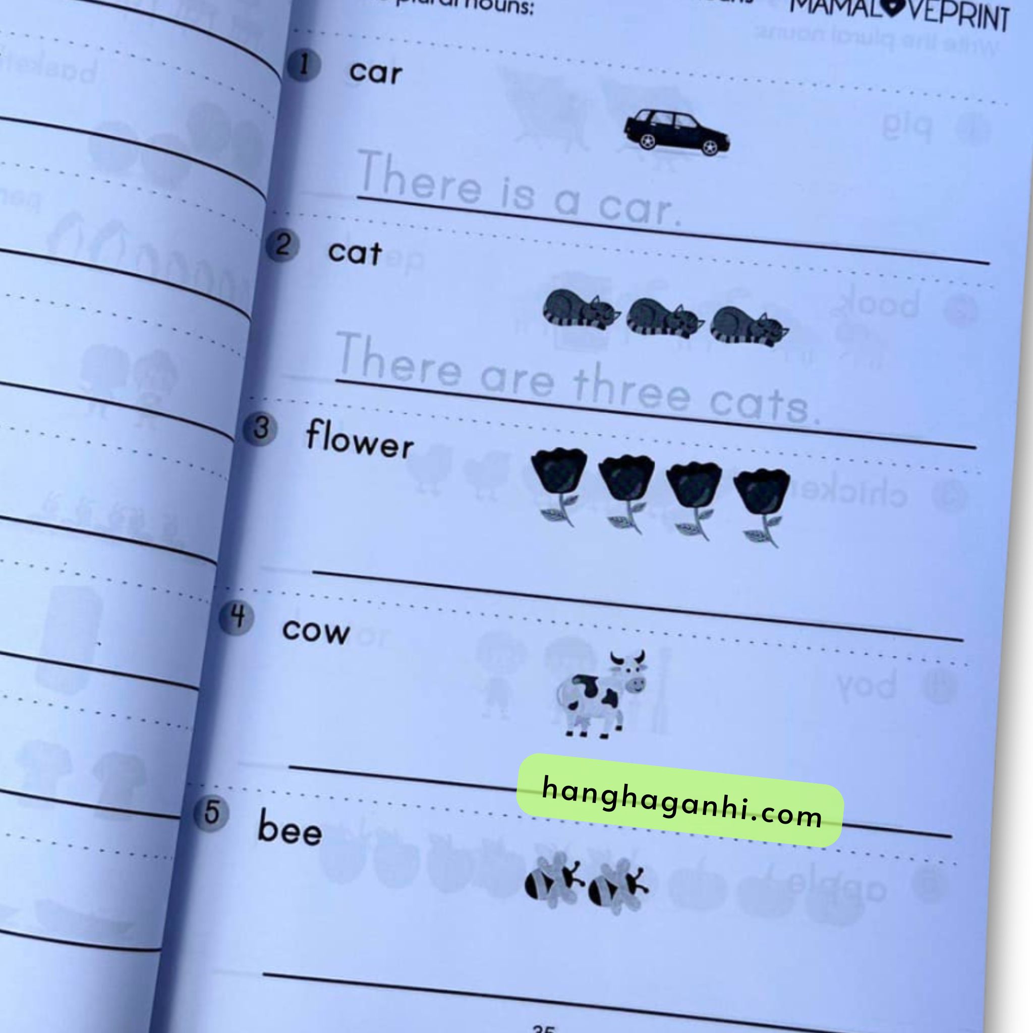 Common English Grammar Pre-Primary School Study Workbook - In màu_thumbnail_9