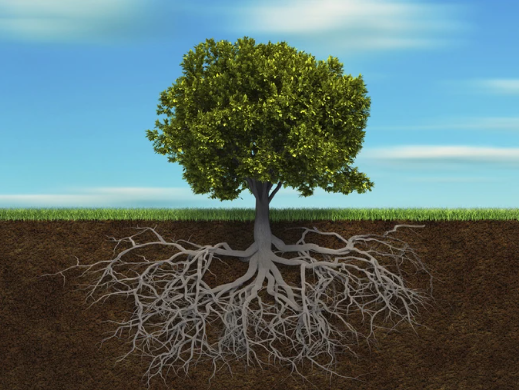 Screenshot 2026-01-18 122742