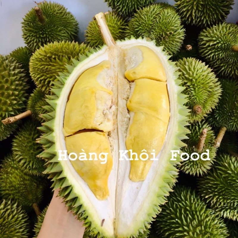 Sầu Riêng Sáu Hữu_thumbnail_0