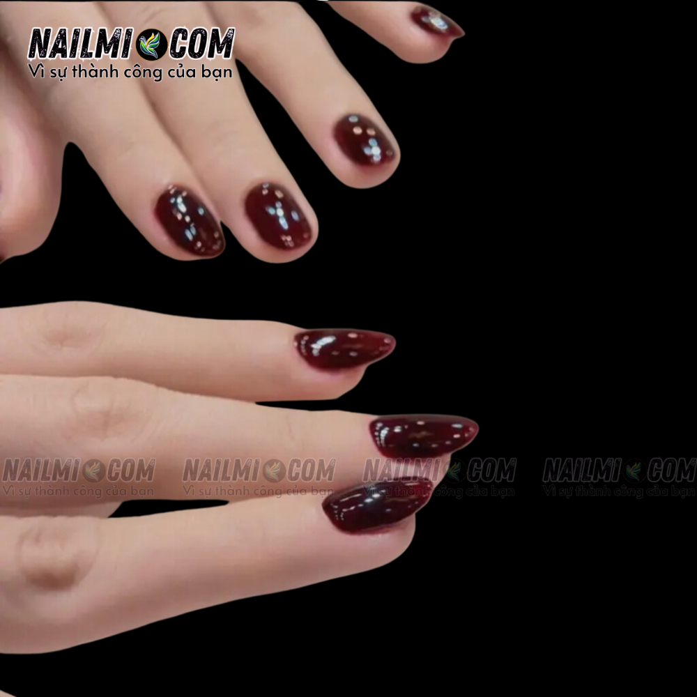 Sơn Gel lẻ - Thạch Đỏ Rượu Vang - AN - 12ml_thumbnail_2