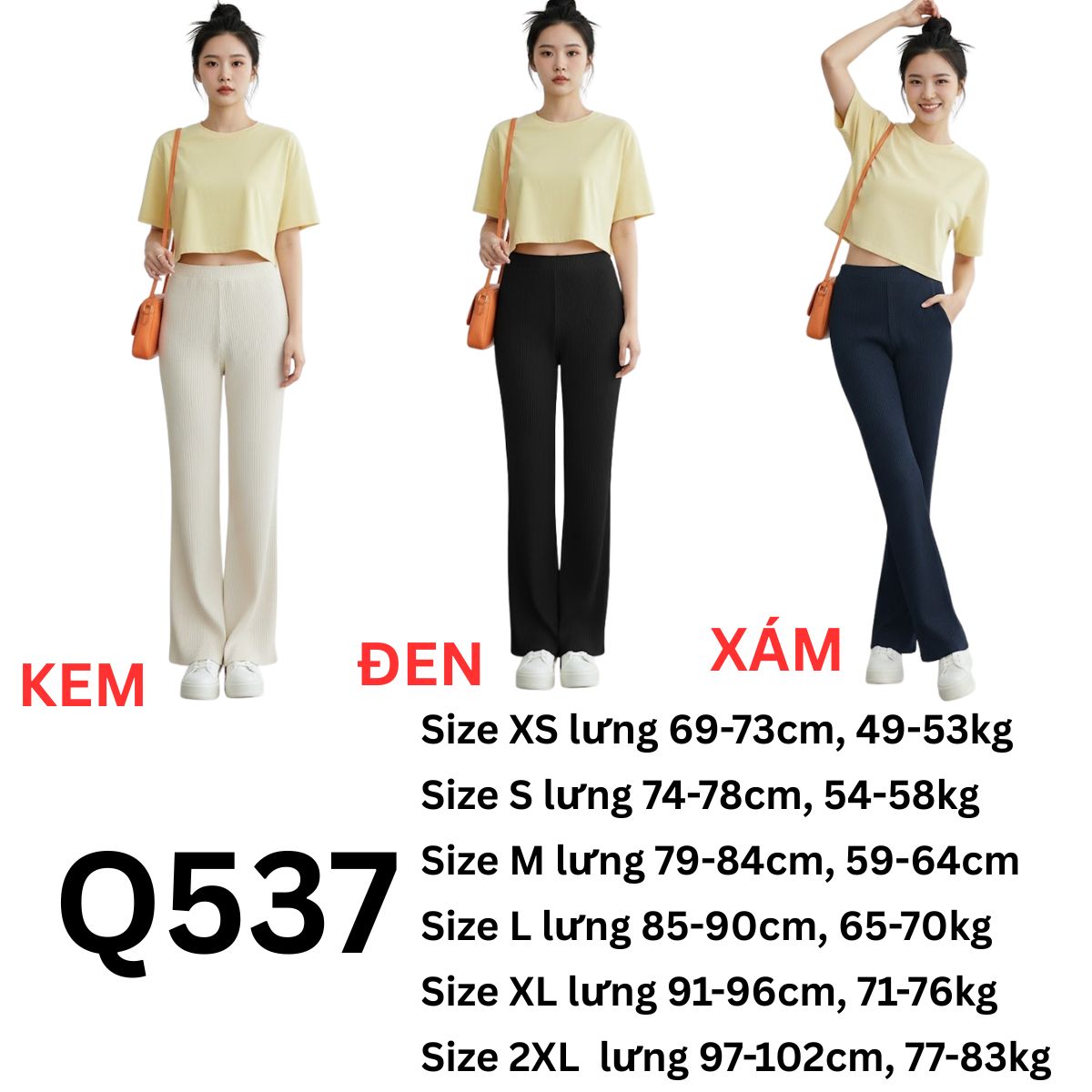 Q537 Quần thun dập ly