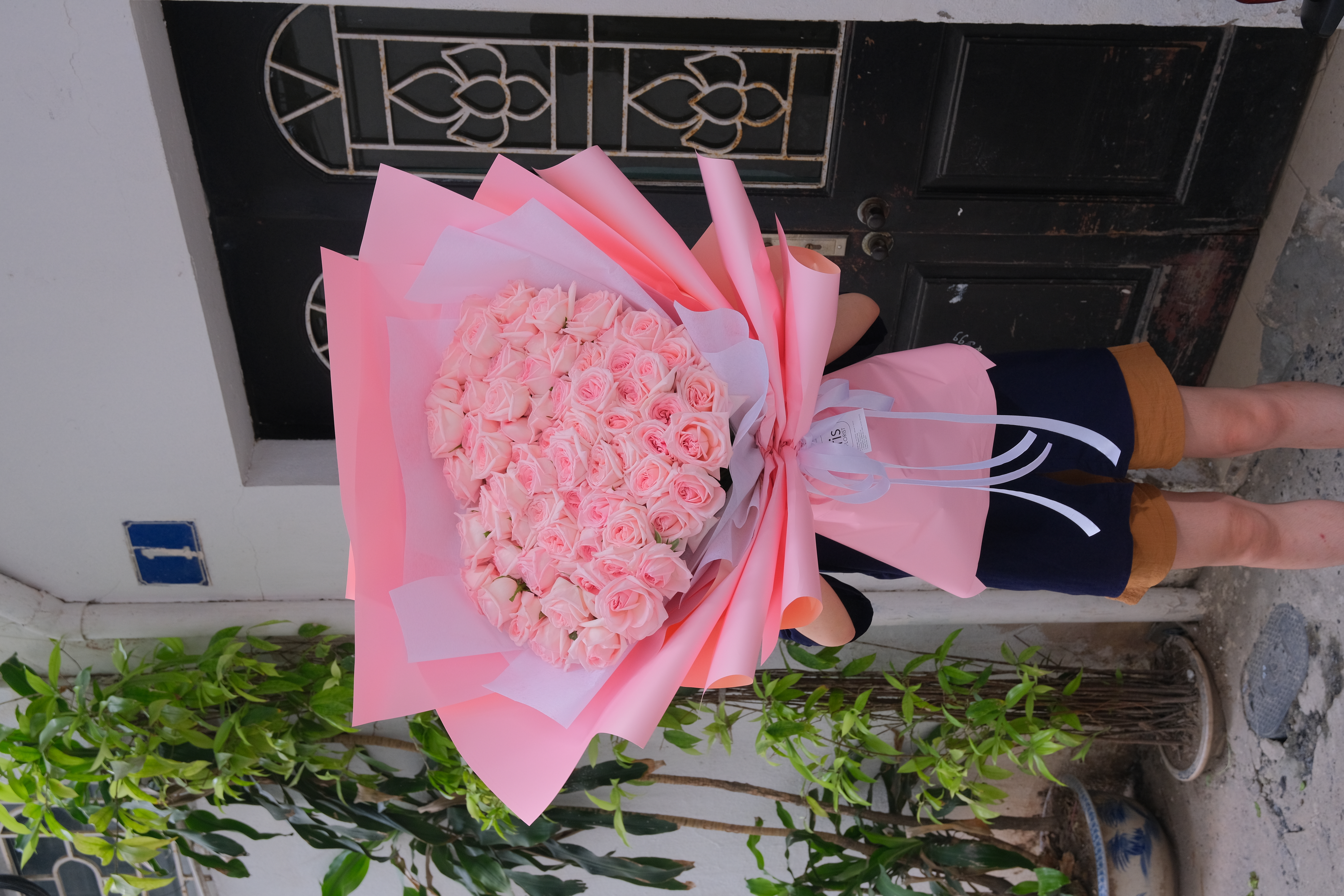 Bó hồng Ohara 70B