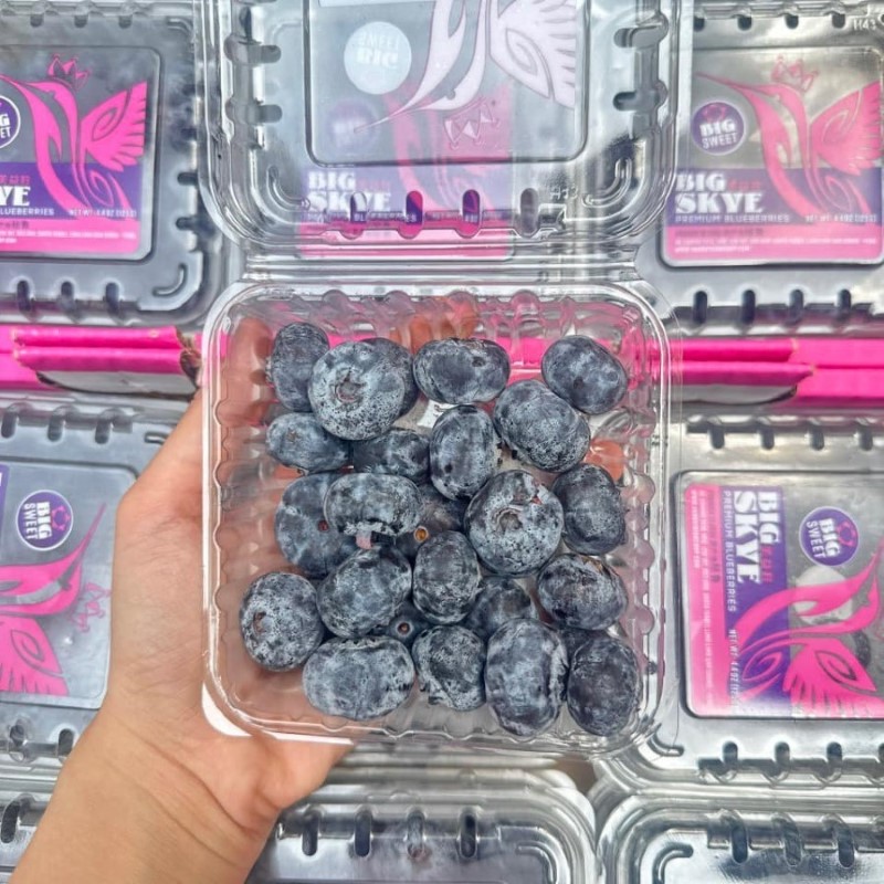 Việt Quất Peru Size Jumbo (Big Skye)