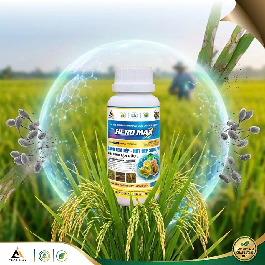 HERO MAX – Sạch lem lép, hạt đẹp sáng to_thumbnail_5