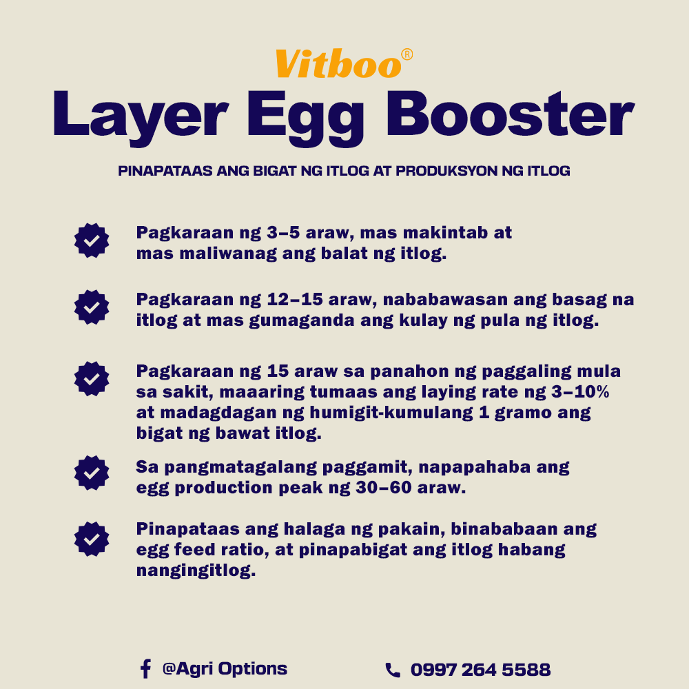 Layer Egg Booster_thumbnail_3