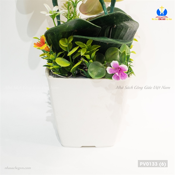 Hoa lan 2 nhánh_thumbnail_2