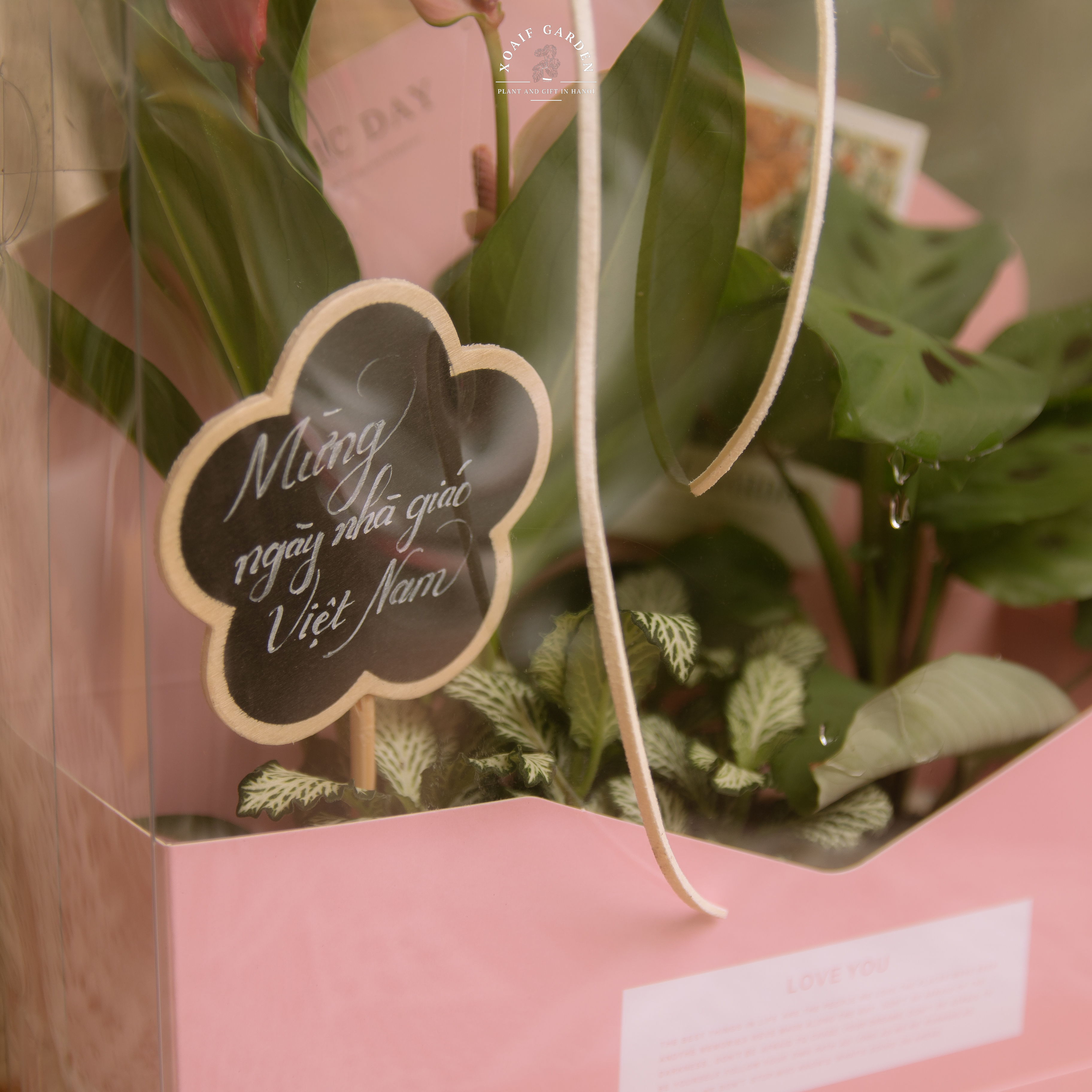 SET HỘP QUÀ CÂY MIX AN YÊN