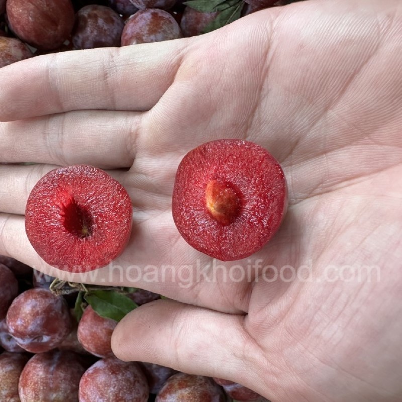 Mận Hậu Punhi_thumbnail_1