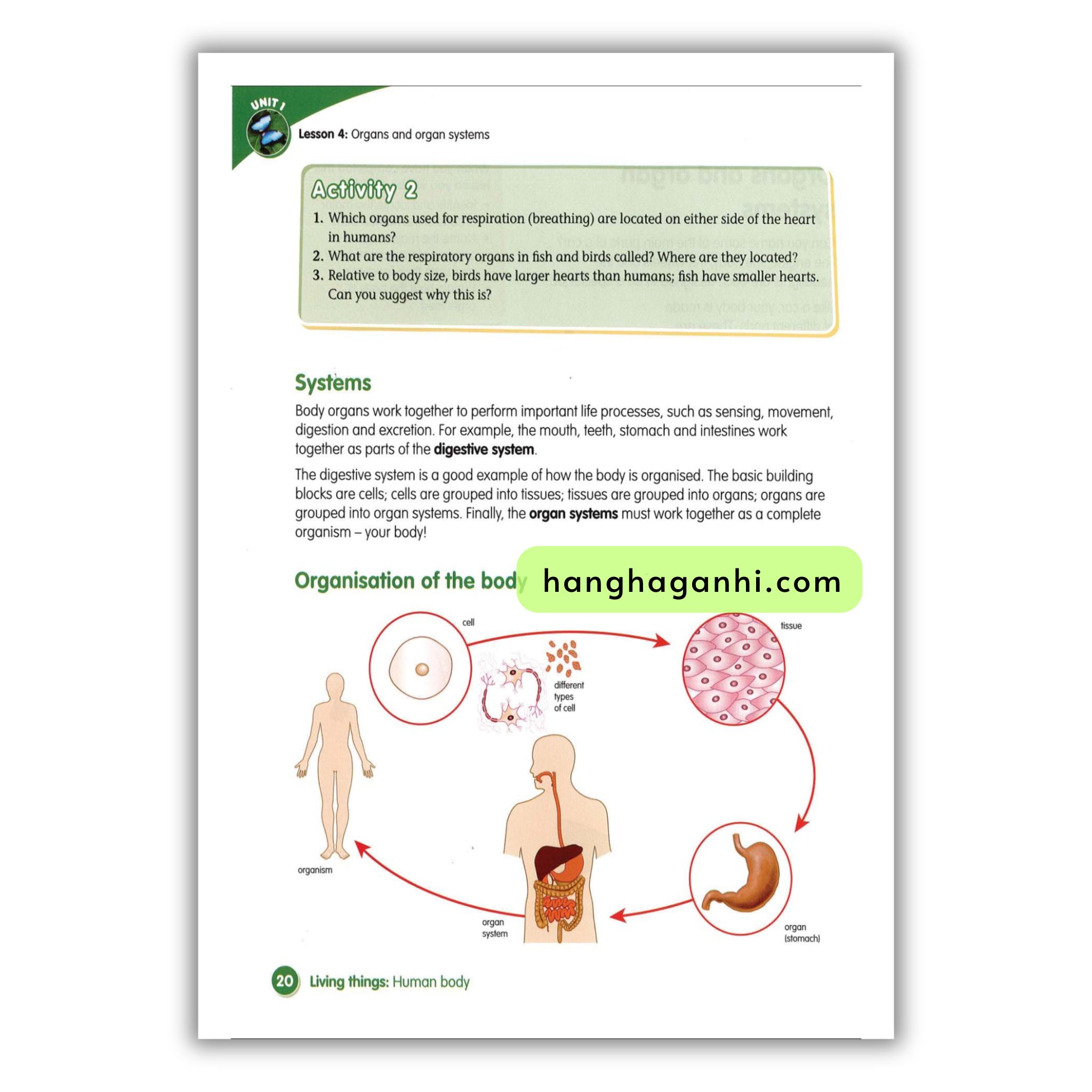 Macmillan Science 6 Pupil’s book_thumbnail_4