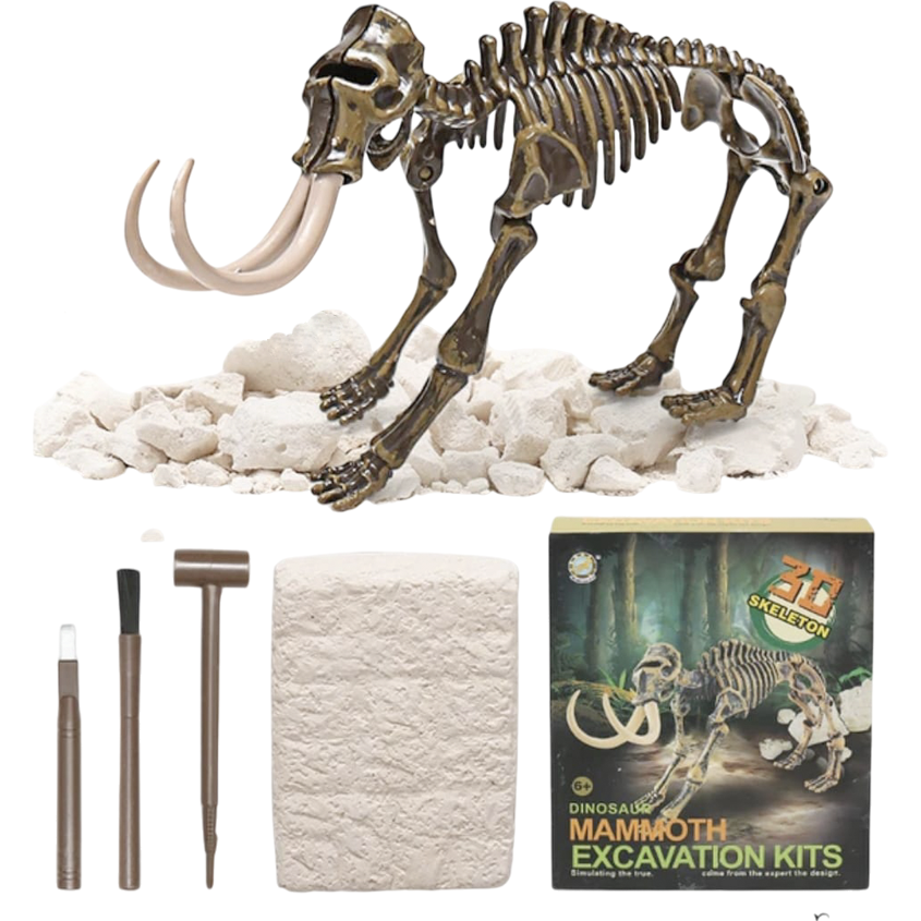 Dino Excavación_thumbnail_14