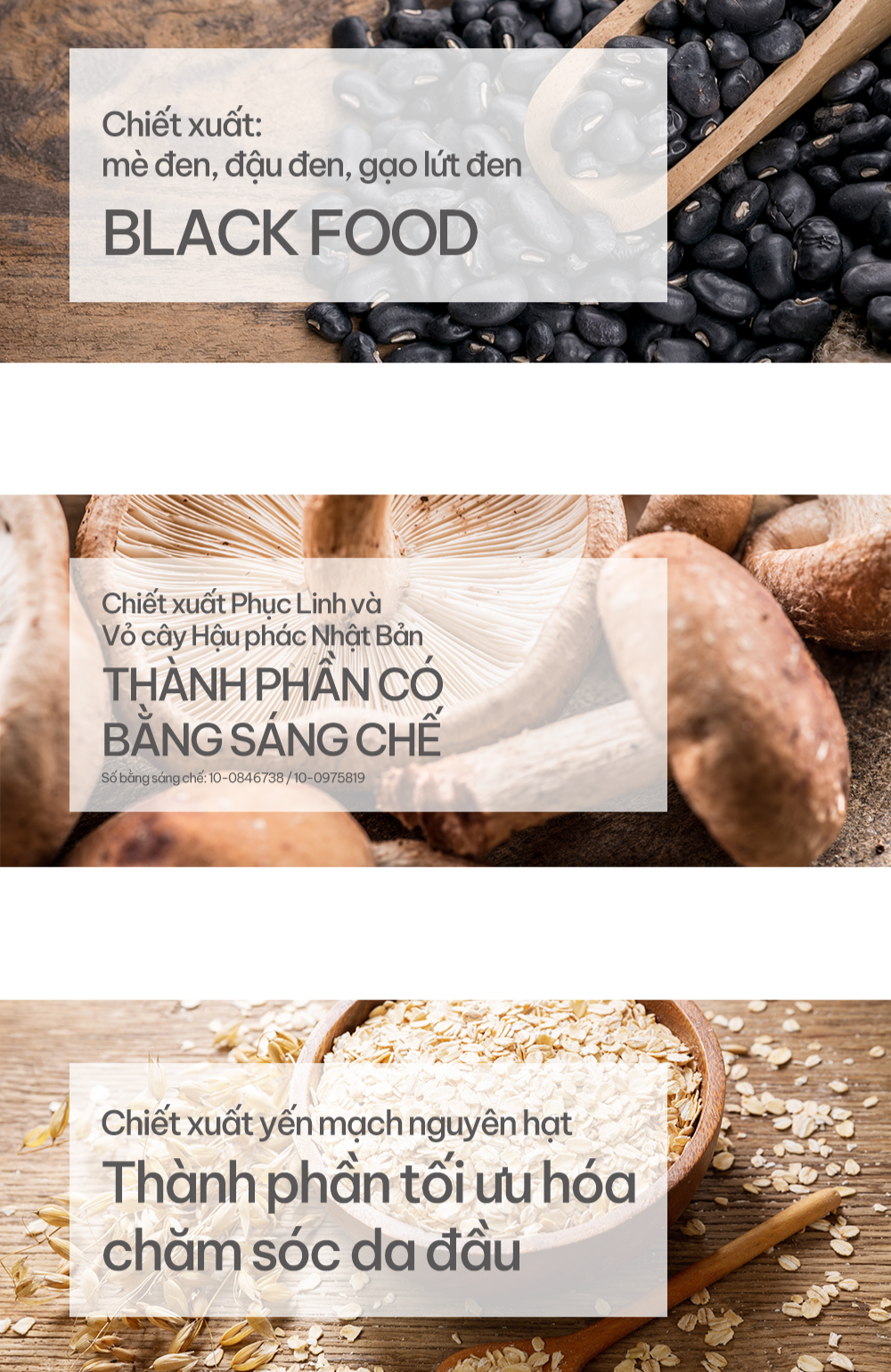 EIGHTGROW PRO-VIT B5 HAIR TONIC - Xịt Giảm Rụng Tóc Nuôi Dưỡng Và Làm Dịu Da Đầu - Panthenol (Pro-Vitamin B5), Salicylic Acid, Black Food Complex - 100ml - [EG001]_thumbnail_3