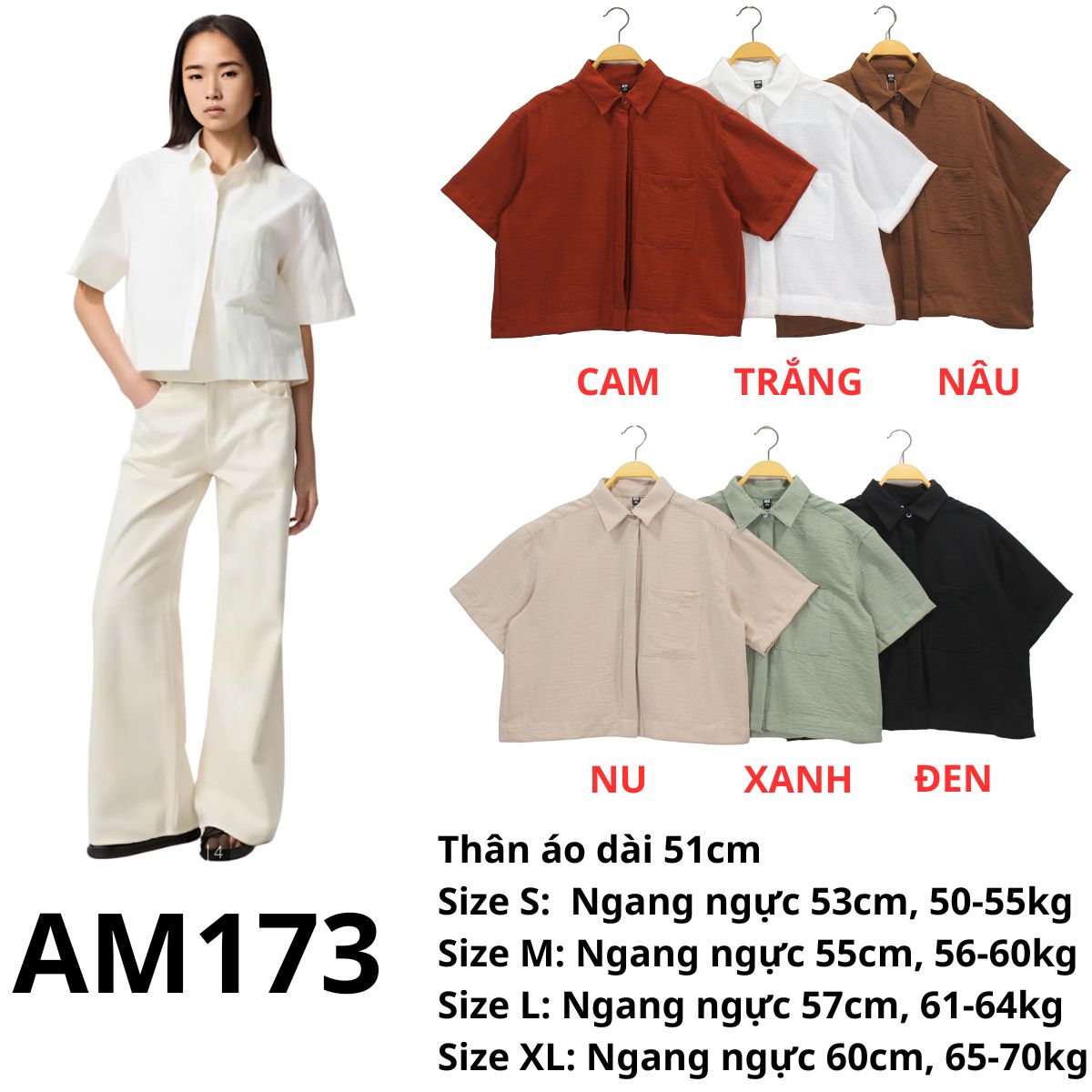 AM173 Sơmi Uni (lê- vê)