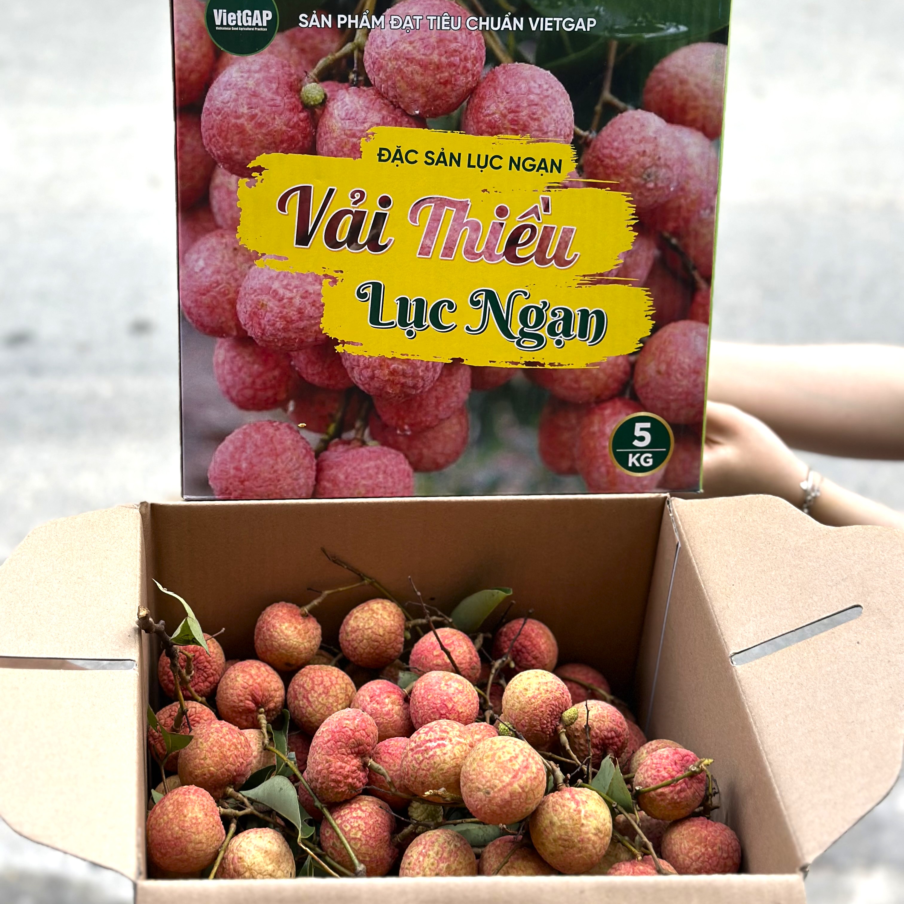 Vải Thiều Lục Ngạn Bắc Giang_thumbnail_1