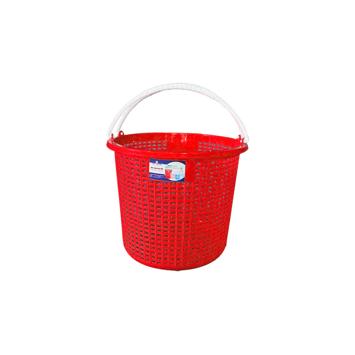 SỌT QUAI TRUNG_thumbnail_1