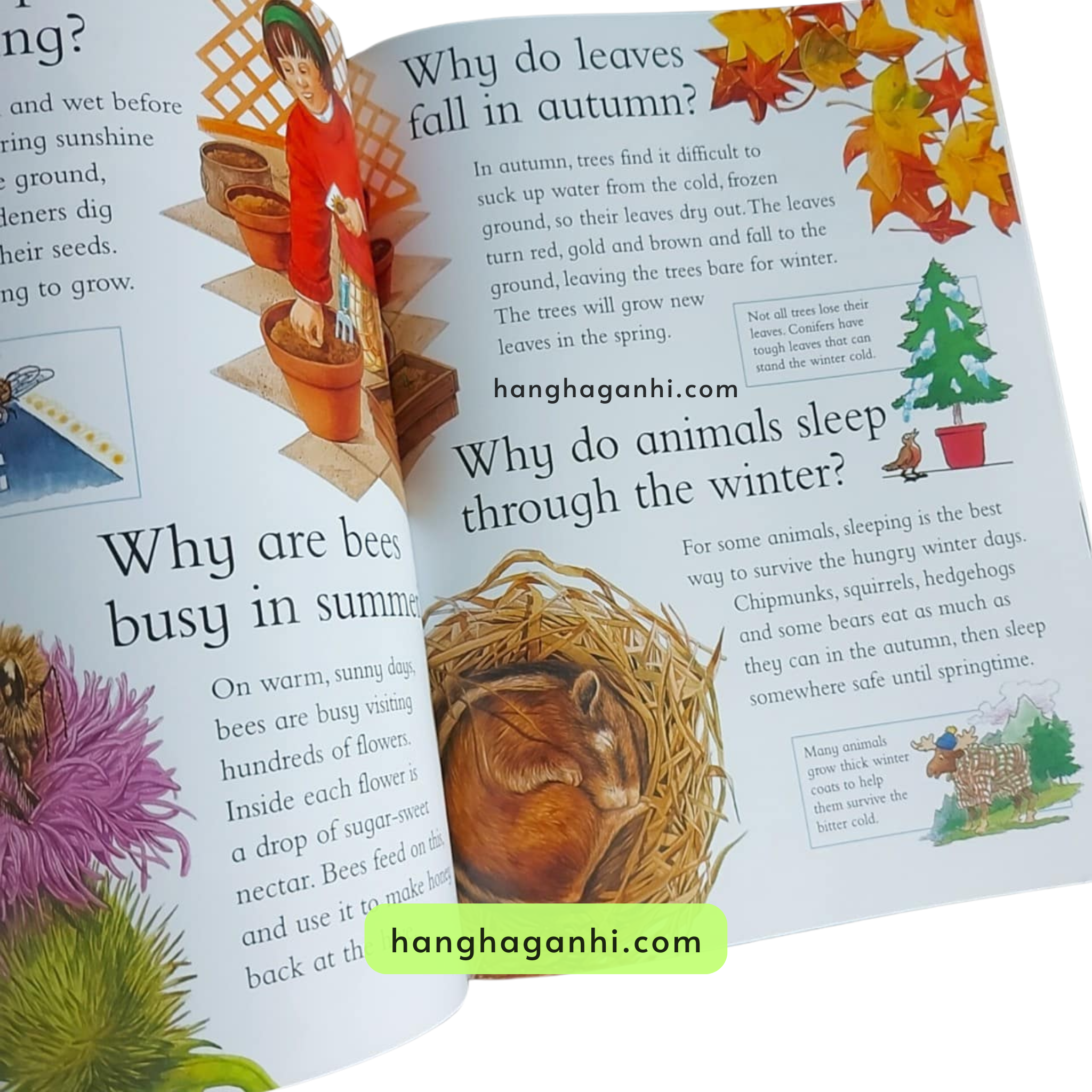 I wonder why, Bộ 24 cuốn Sách Khoa học cho bé nhập khẩu nguyên seal kèm file nghe giọng bản ngữ_thumbnail_14