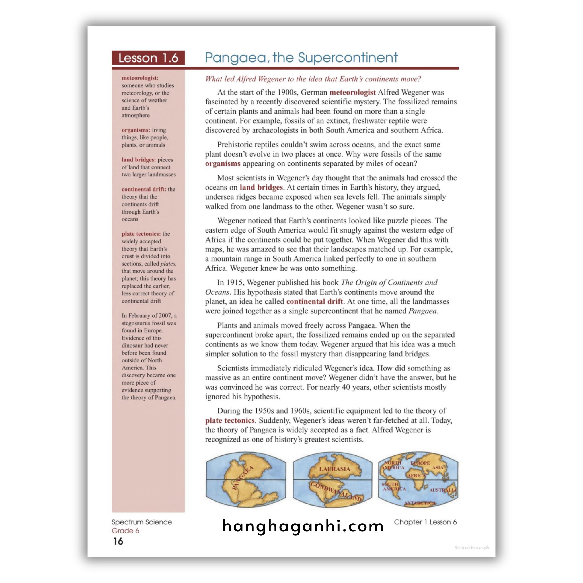 Sách Spectrum Science Workbook Grade 6_thumbnail_6