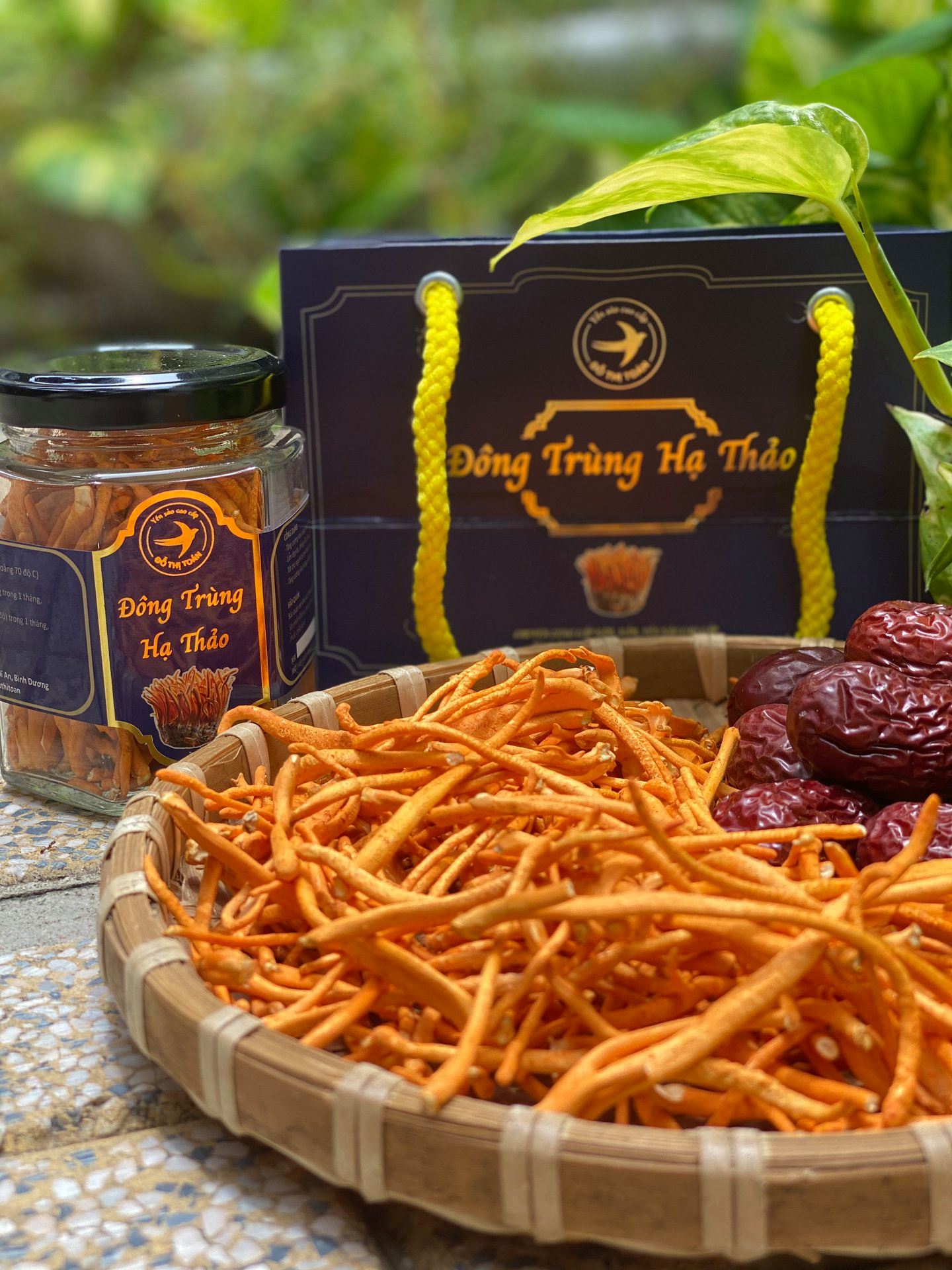 Cách Bảo Quản Nấm Đông Trùng Hạ Thảo Giữ Nguyên Dưỡng Chất