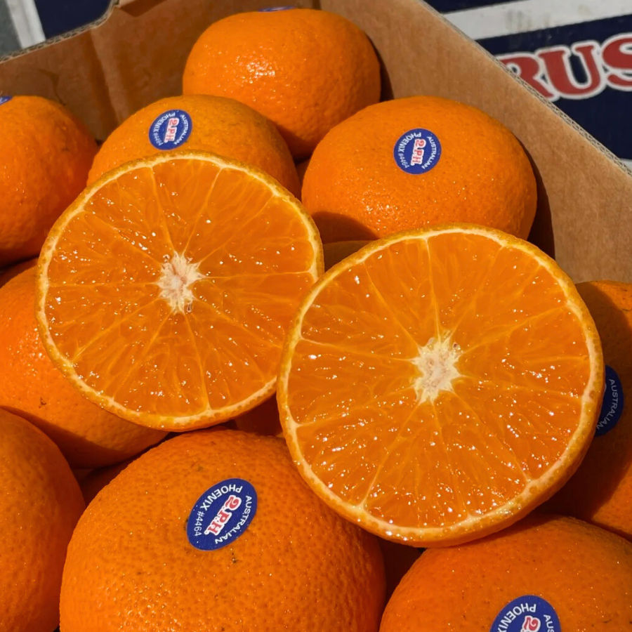 Quýt Úc Vàng_thumbnail_2