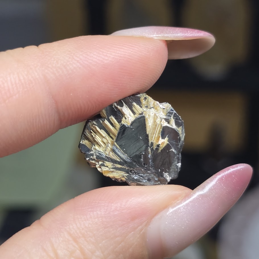 [PRE] Rutile Tóc Vàng Cộng Sinh Hematite - Brazil