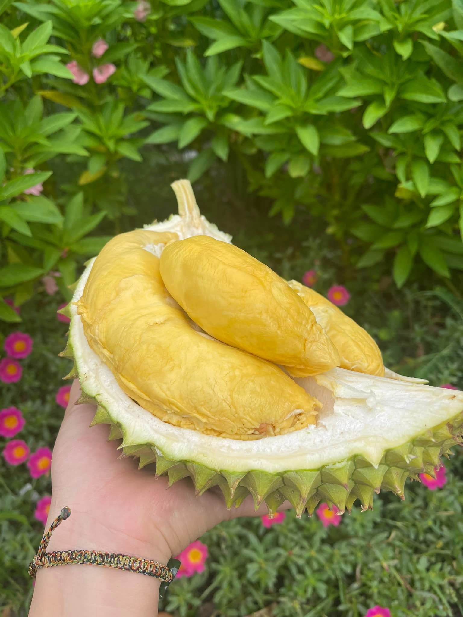 Tách sẵn - Sầu Ri6 Miền Đông_thumbnail_2