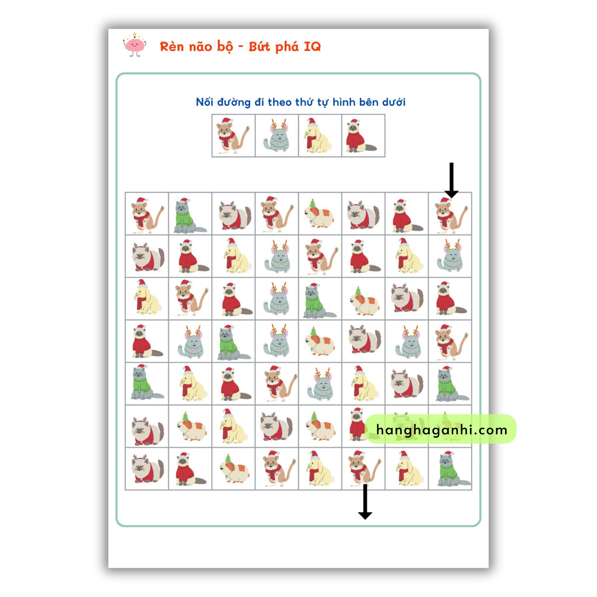 Học liệu Rèn não bộ, bứt phá IQ, rèn tư duy, bóc dán, viết xóa, tặng kèm bút_thumbnail_4