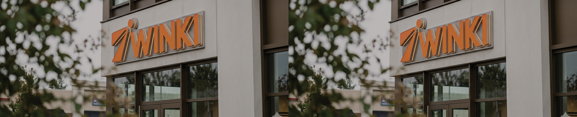 Gemini_Generated_Image_tcbjmitcbjmitcbj(2)