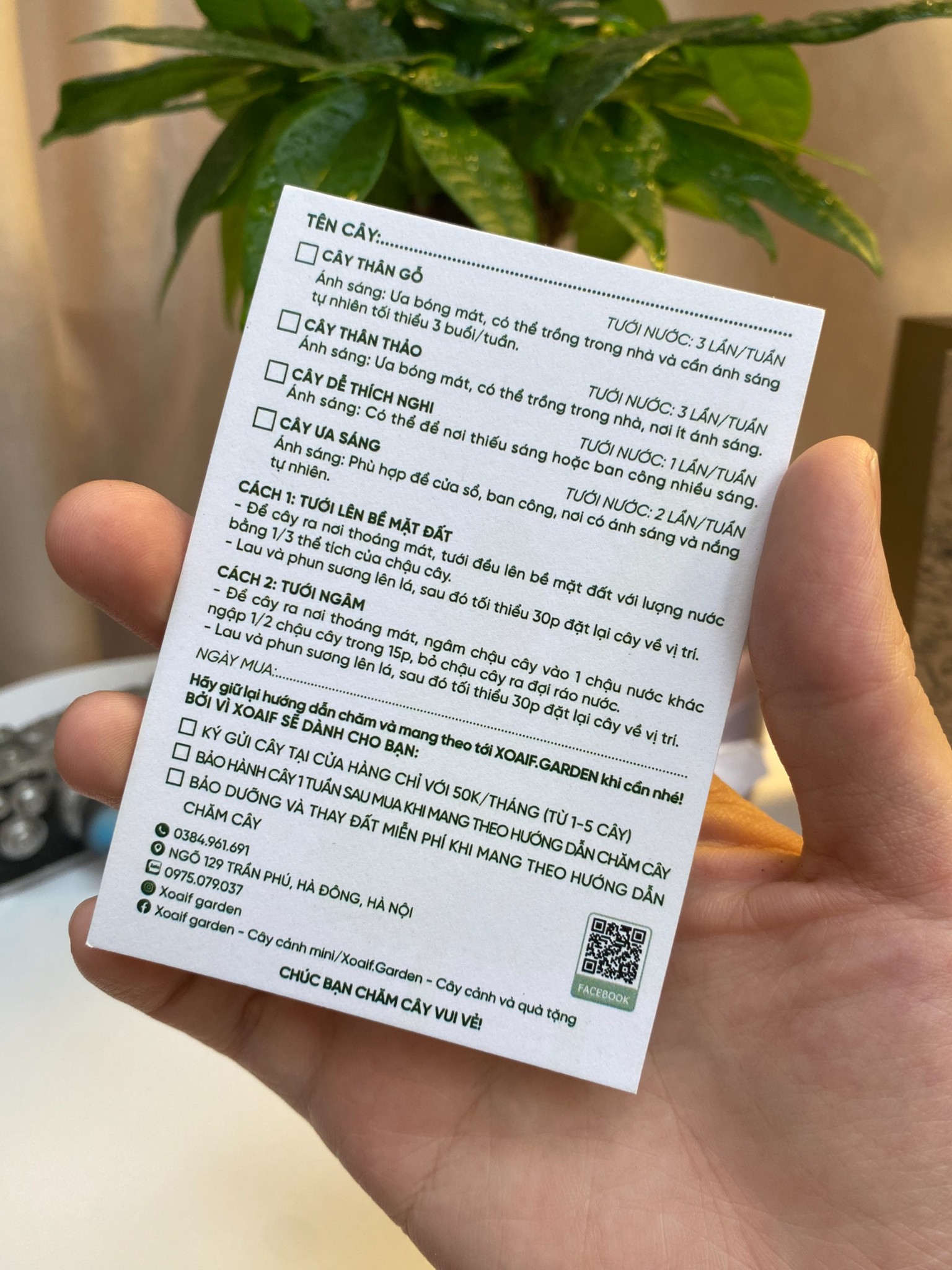 PORTCARD HƯỚNG DẪN CHĂM CÂY
