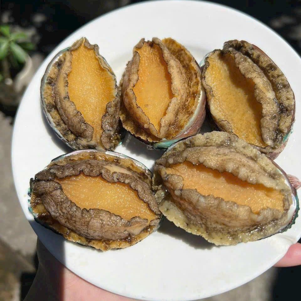 Bào Ngư Đông Lạnh Abalone_thumbnail_3