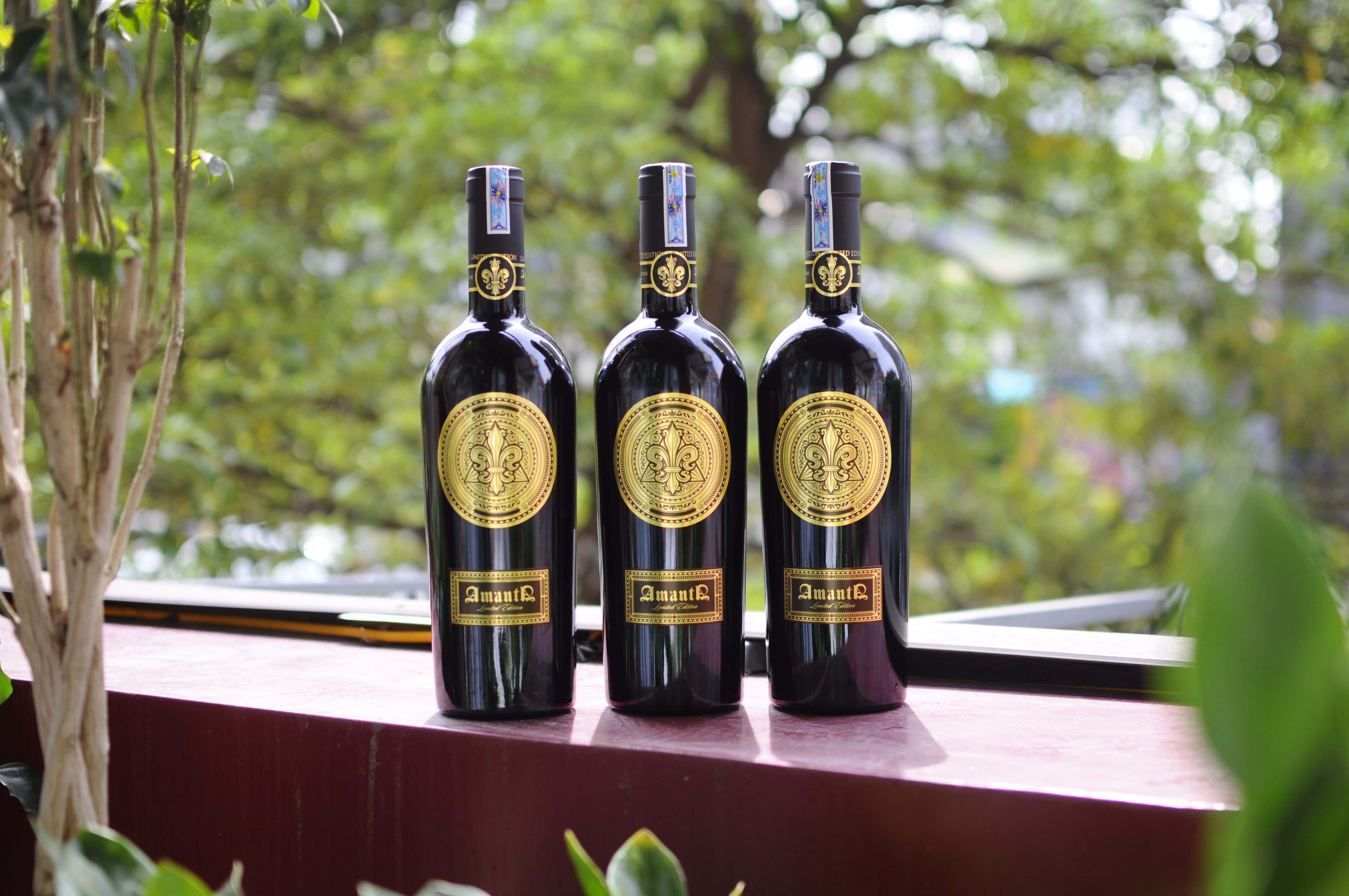 Amanta Limited Edition_thumbnail_3