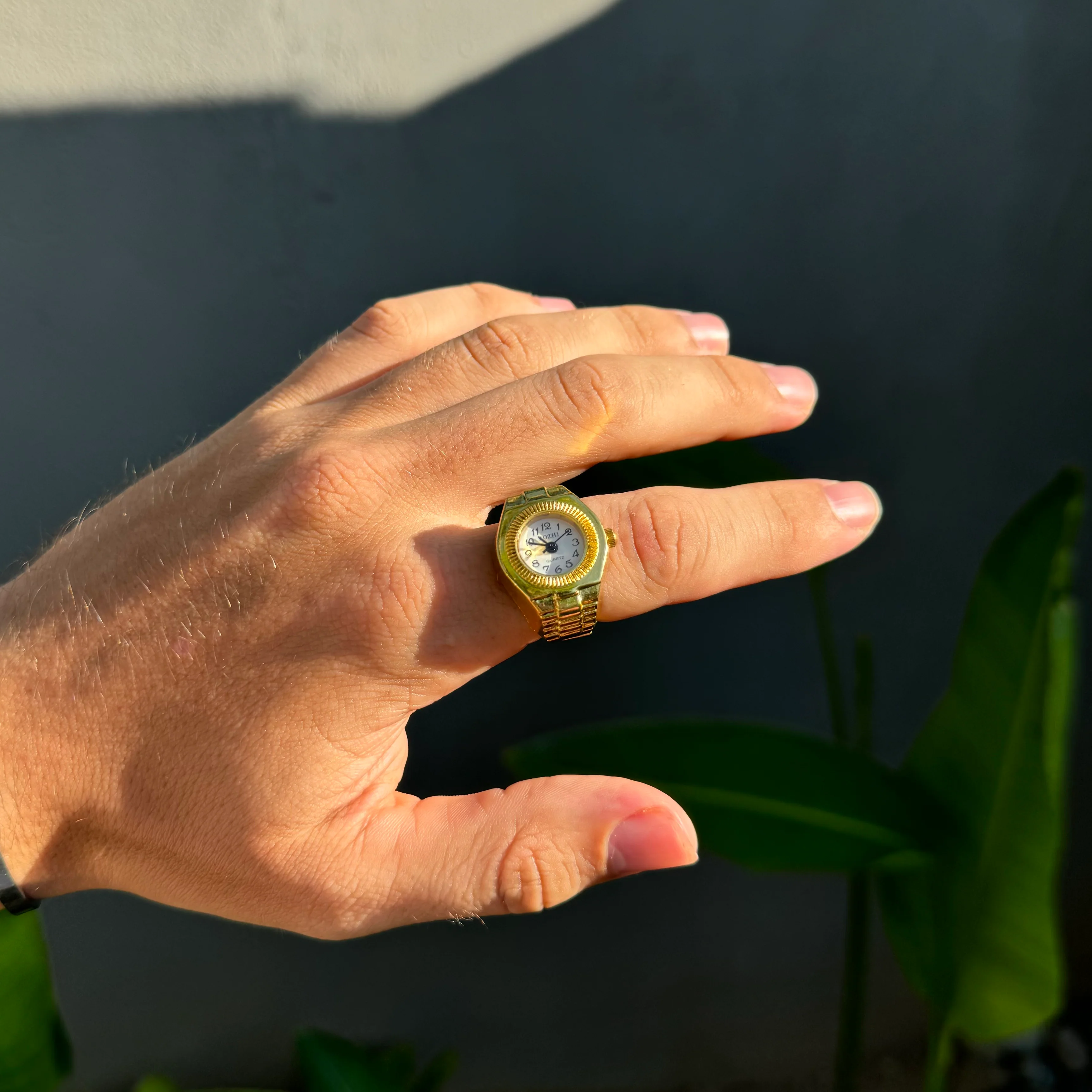 Combo | Dominus Ring - Mua 2 tặng 1_thumbnail_10