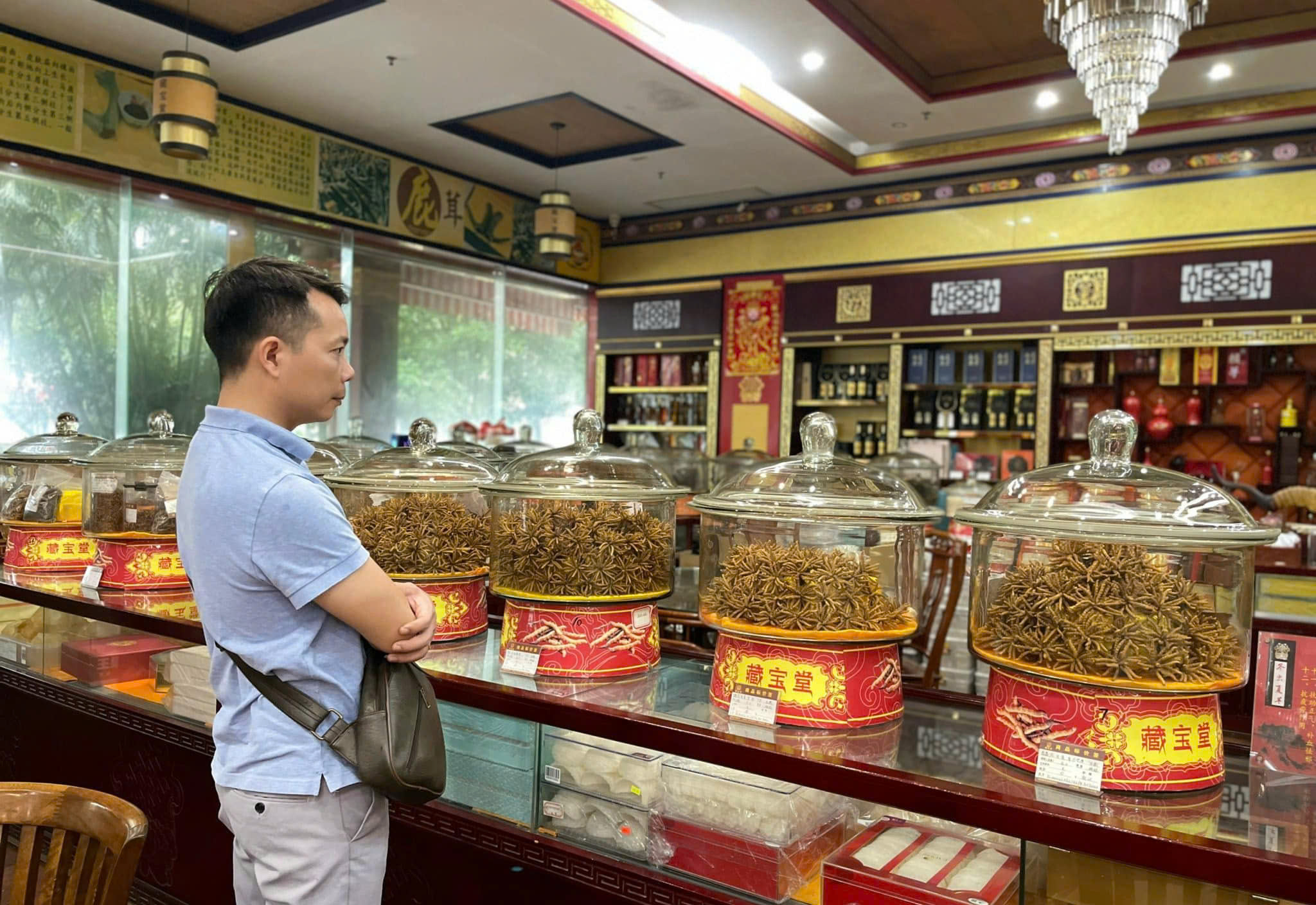 z6982314602124_5ff2809769d1165323aa7aa05eed9b30