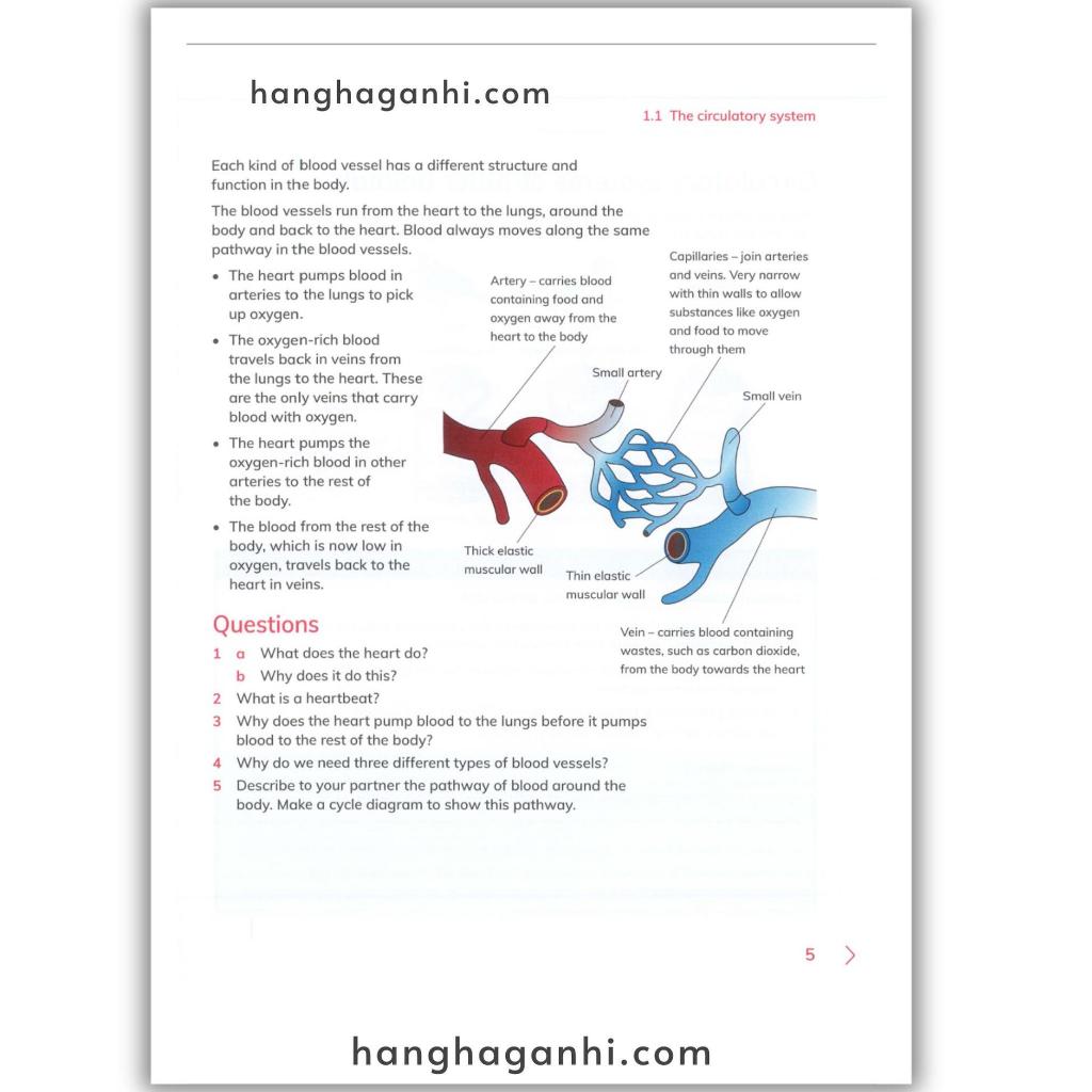 Cambridge Level 6 Primary Science Learner’s Book 2nd edition 2021_thumbnail_7