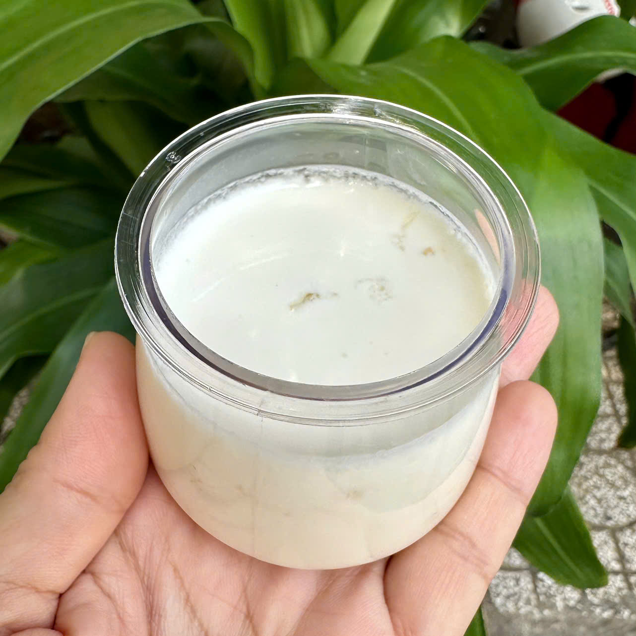 Quà Tặng 16: Sữa Chua Yến