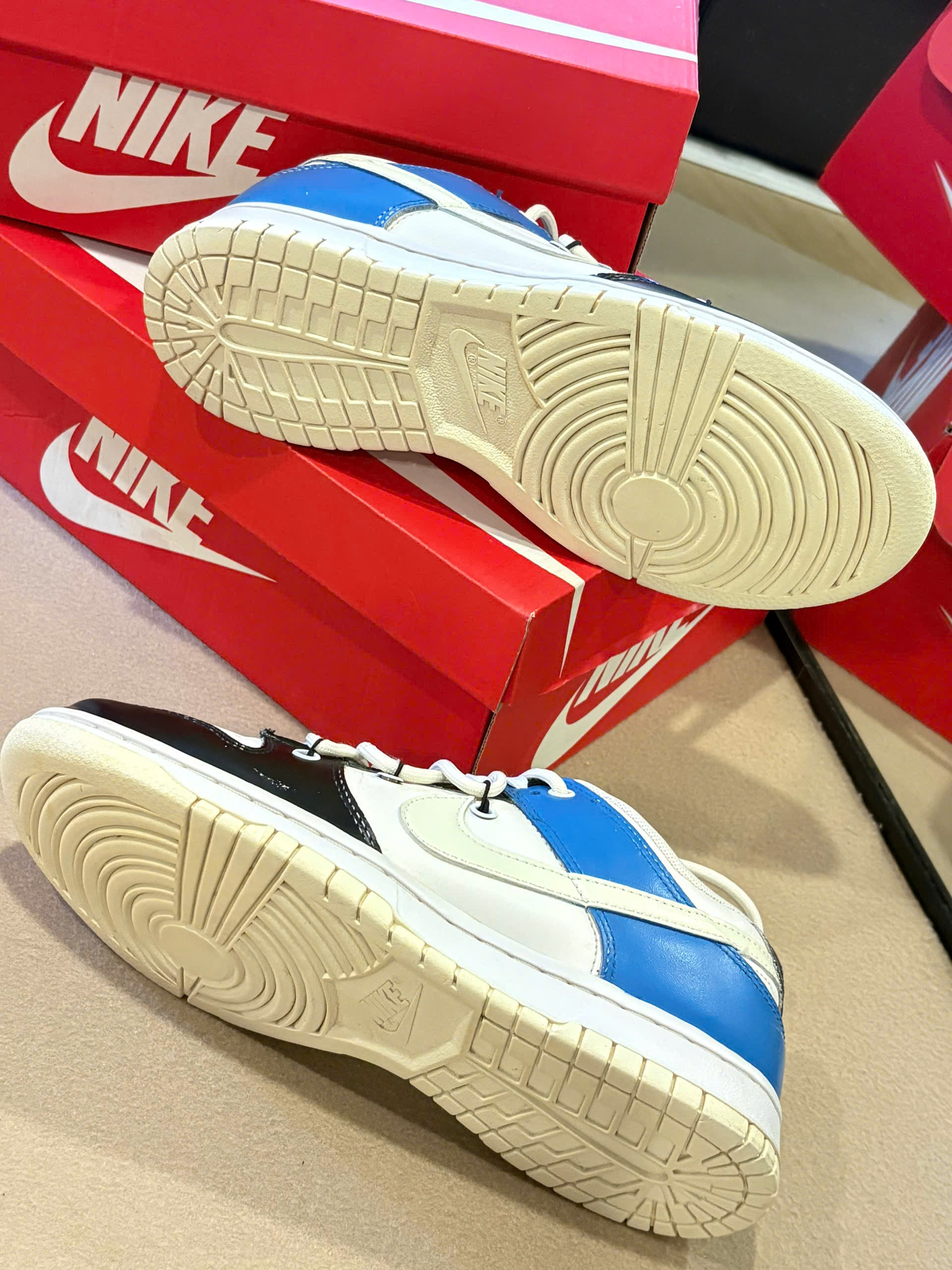 Nike Dunk Low Retro (W)