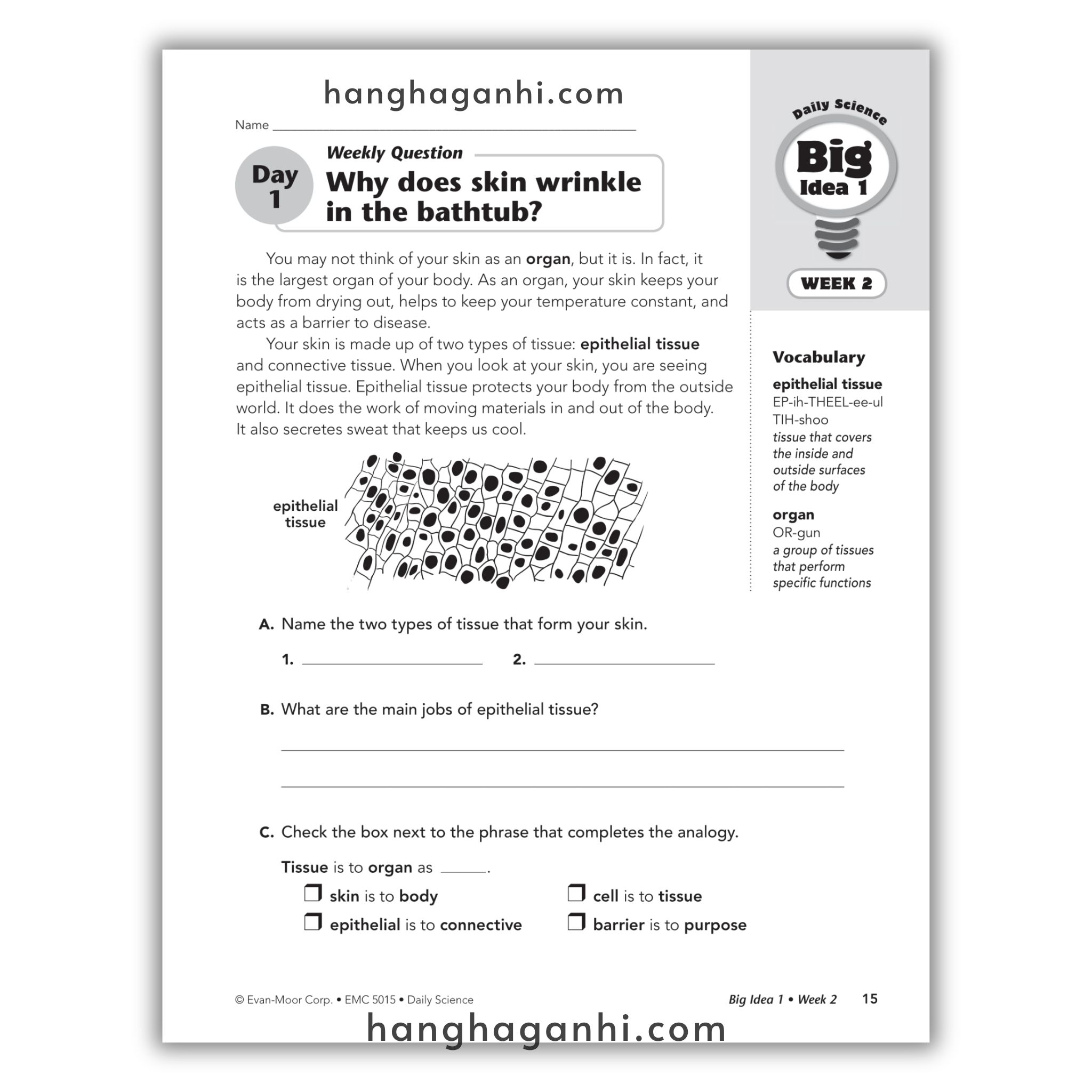 Daily Science Grade 5_thumbnail_1