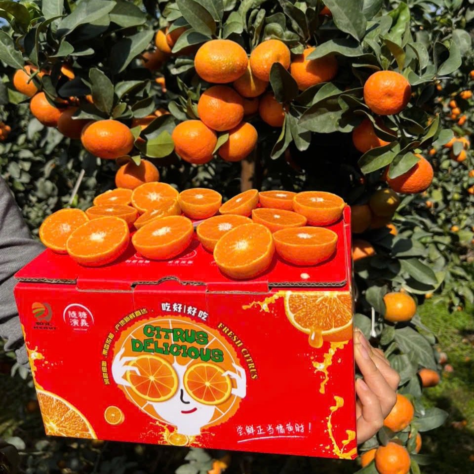 Quýt Mật Ong Vân Nam_thumbnail_0