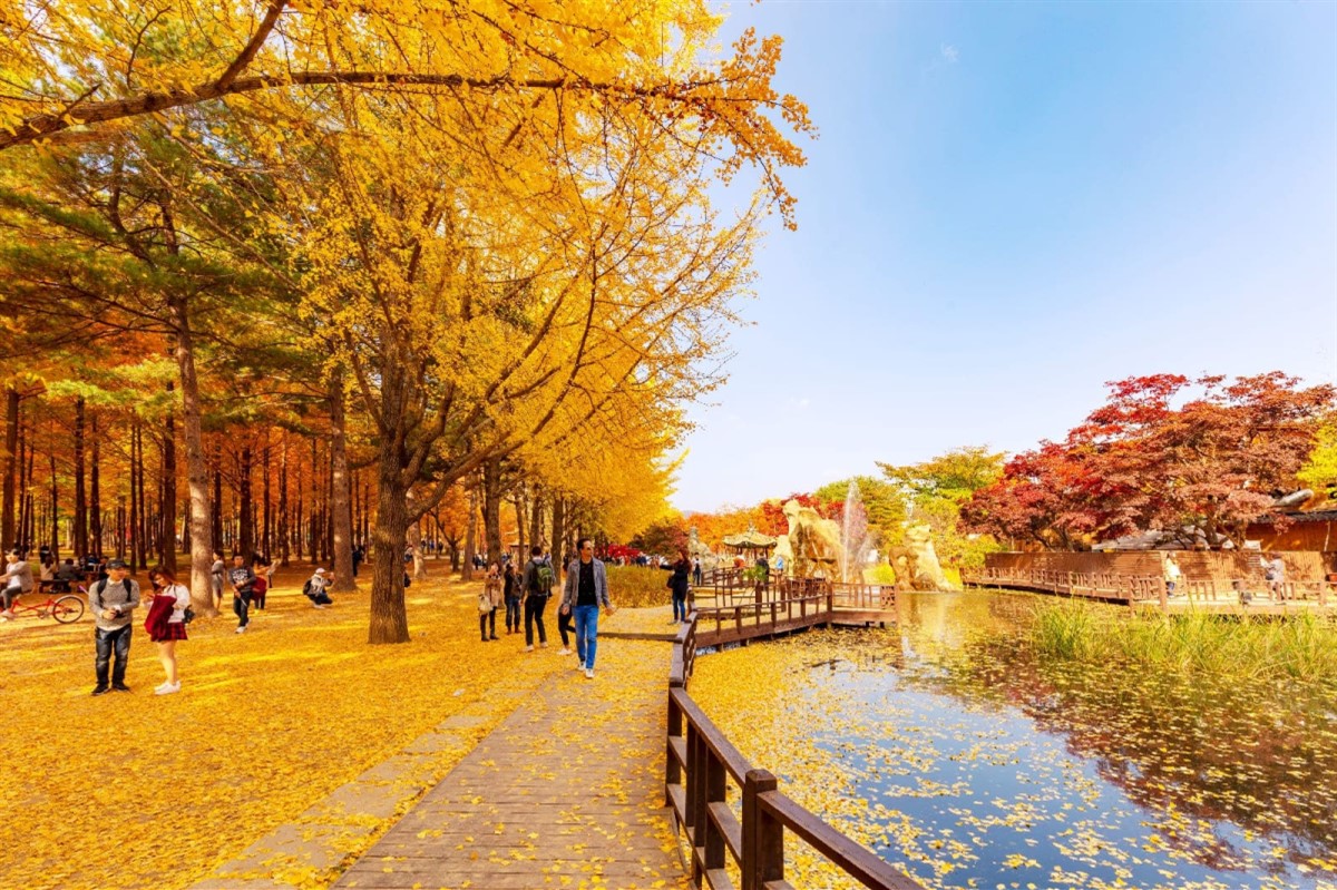 [Tour Tết 2025] Tour du lịch Hàn Quốc | TP. Hồ Chí Minh - Seoul - Nami - Everland 5 Ngày 4 Đêm_thumbnail_2