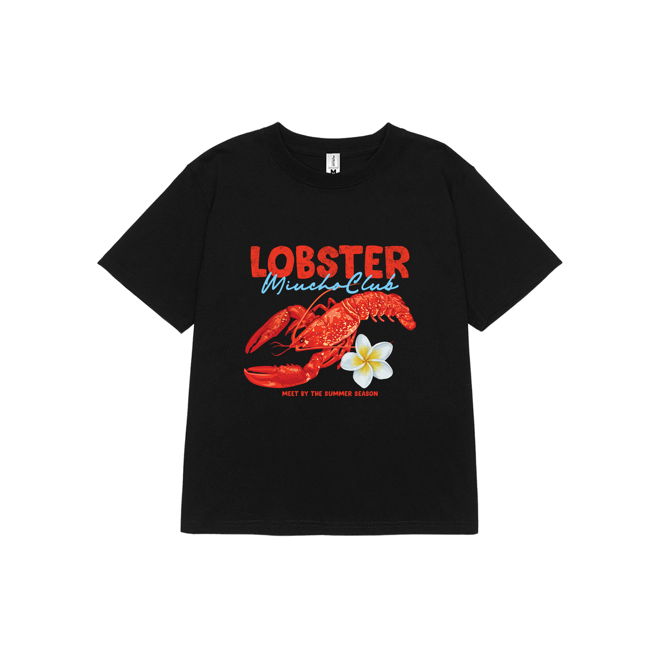 Áo baby tee form ôm hè biển 2227 Miucho cổ tròn vải cotton 4 chiều co giãn thoáng mát in mix_thumbnail_7