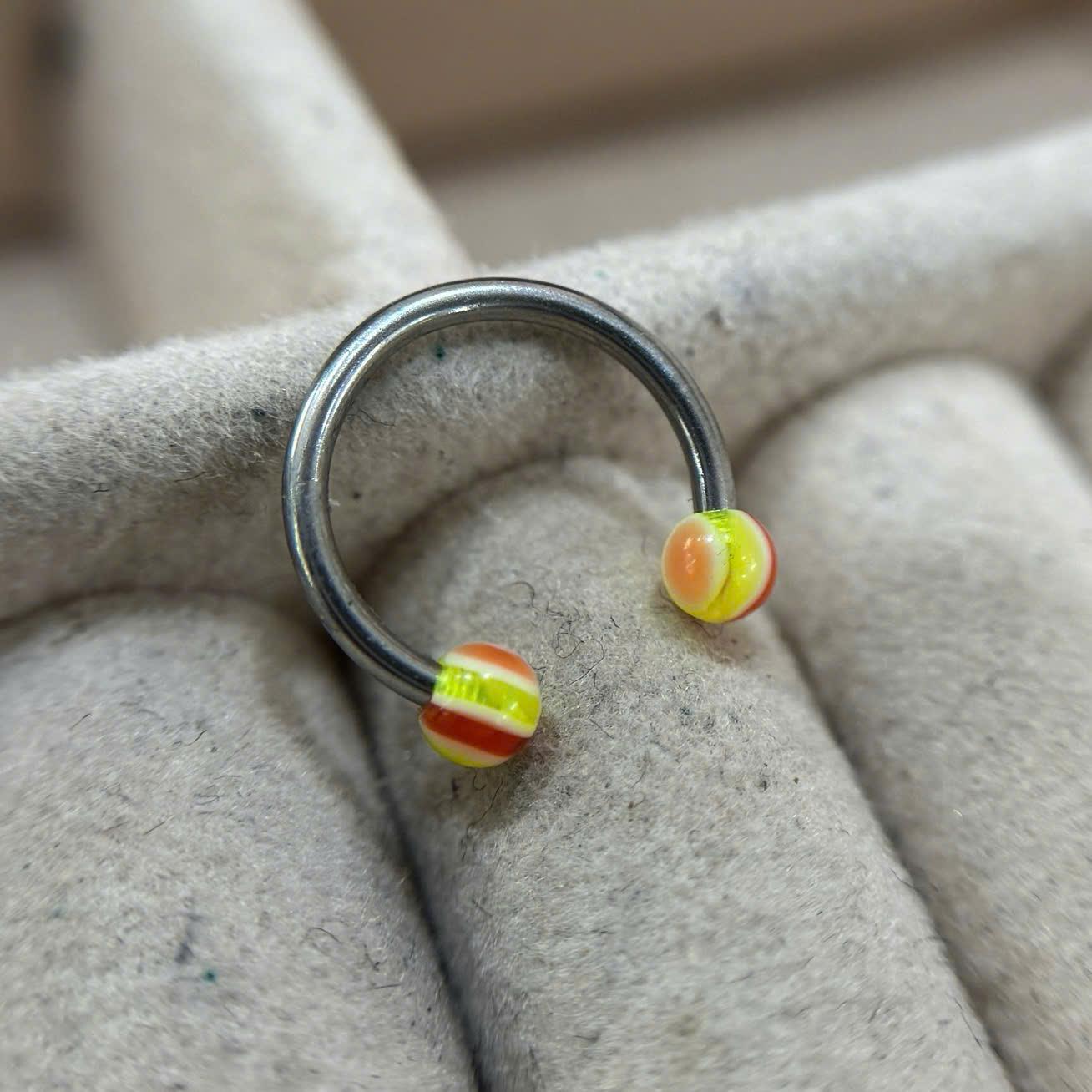 Septum sọc vàng đỏ.