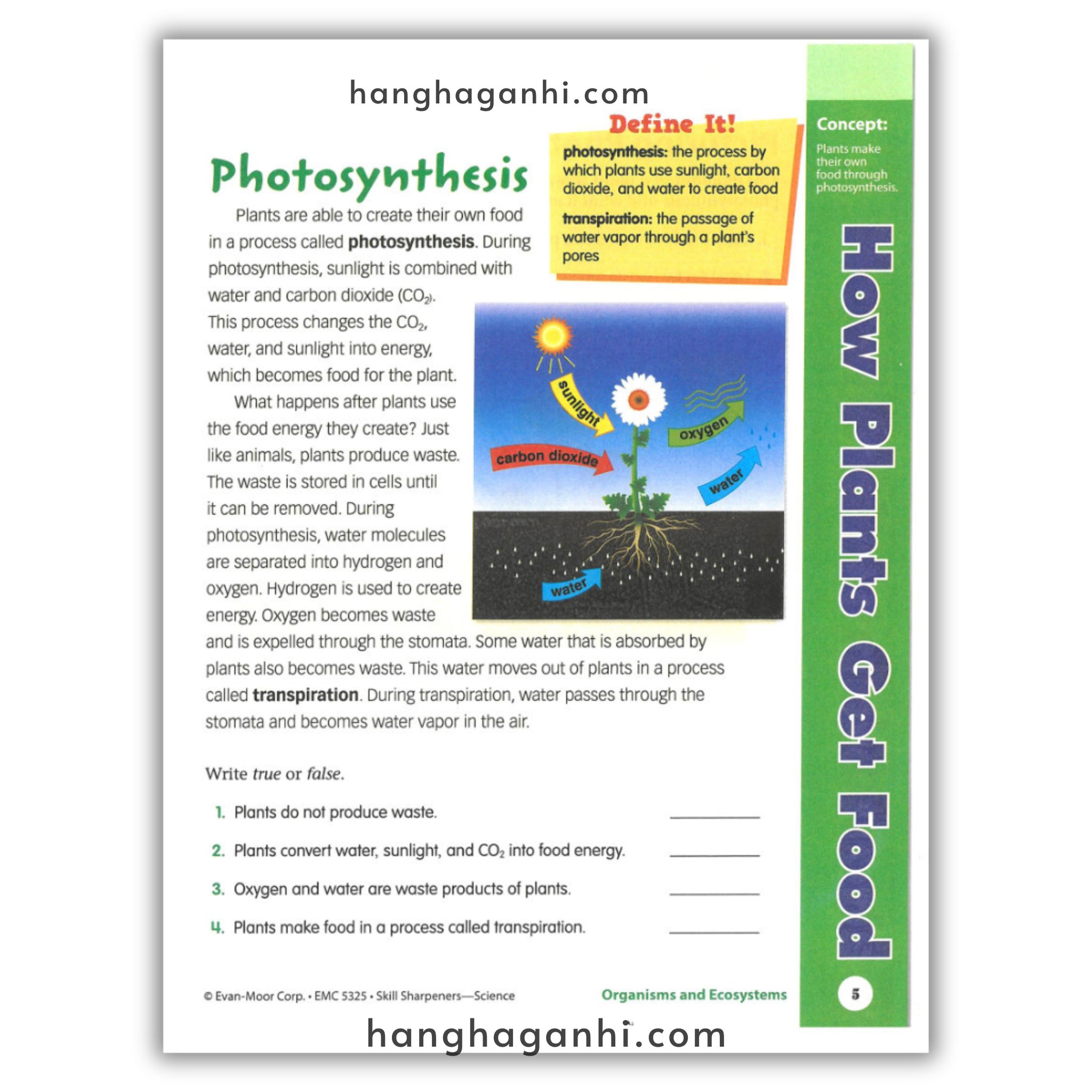 Skill Sharpeners Science Grade 5_thumbnail_15