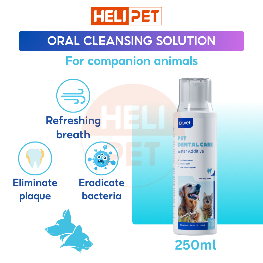 DrVET Oral Hygiene Liquid for Dogs and Cats