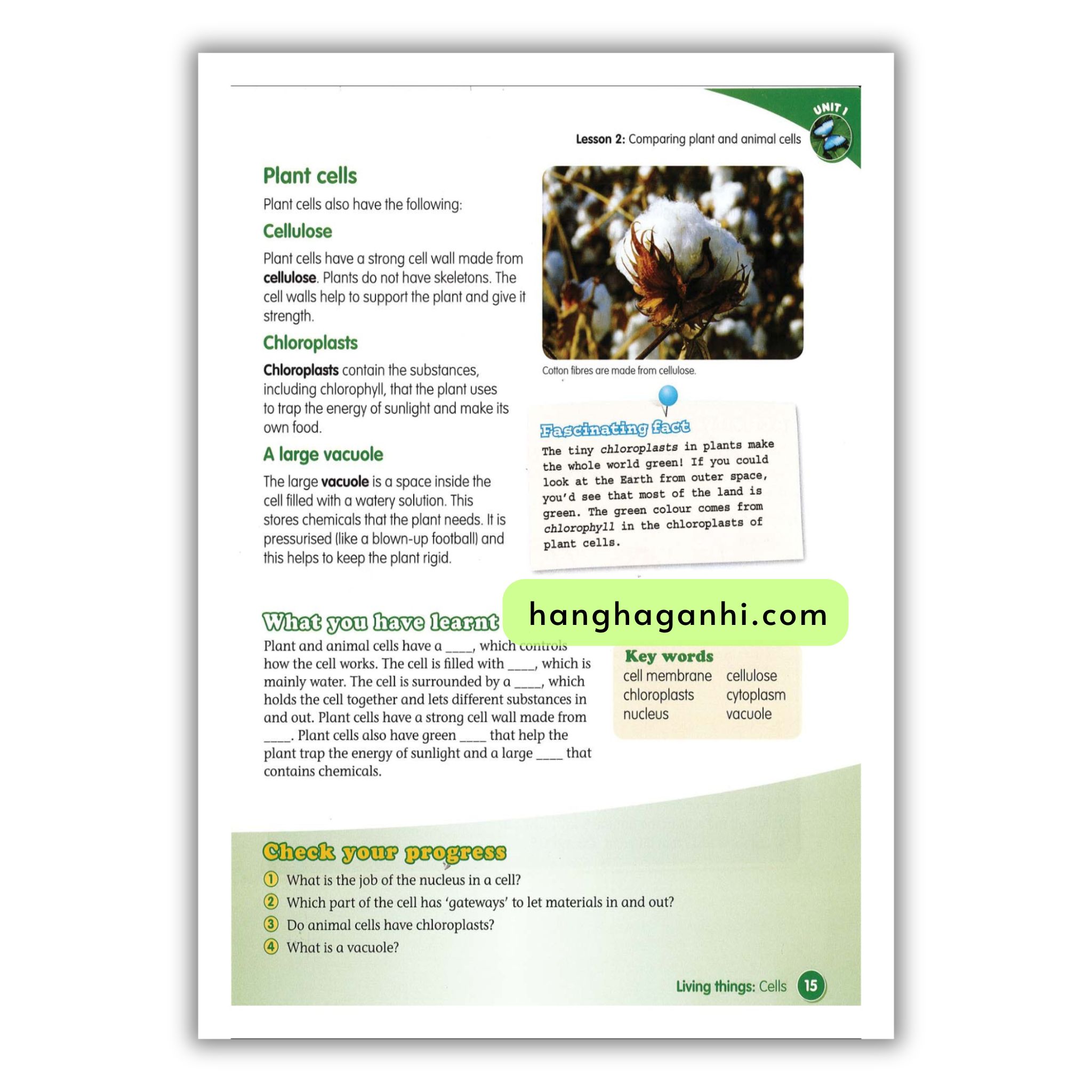 Macmillan Science 6 Pupil’s book_thumbnail_12