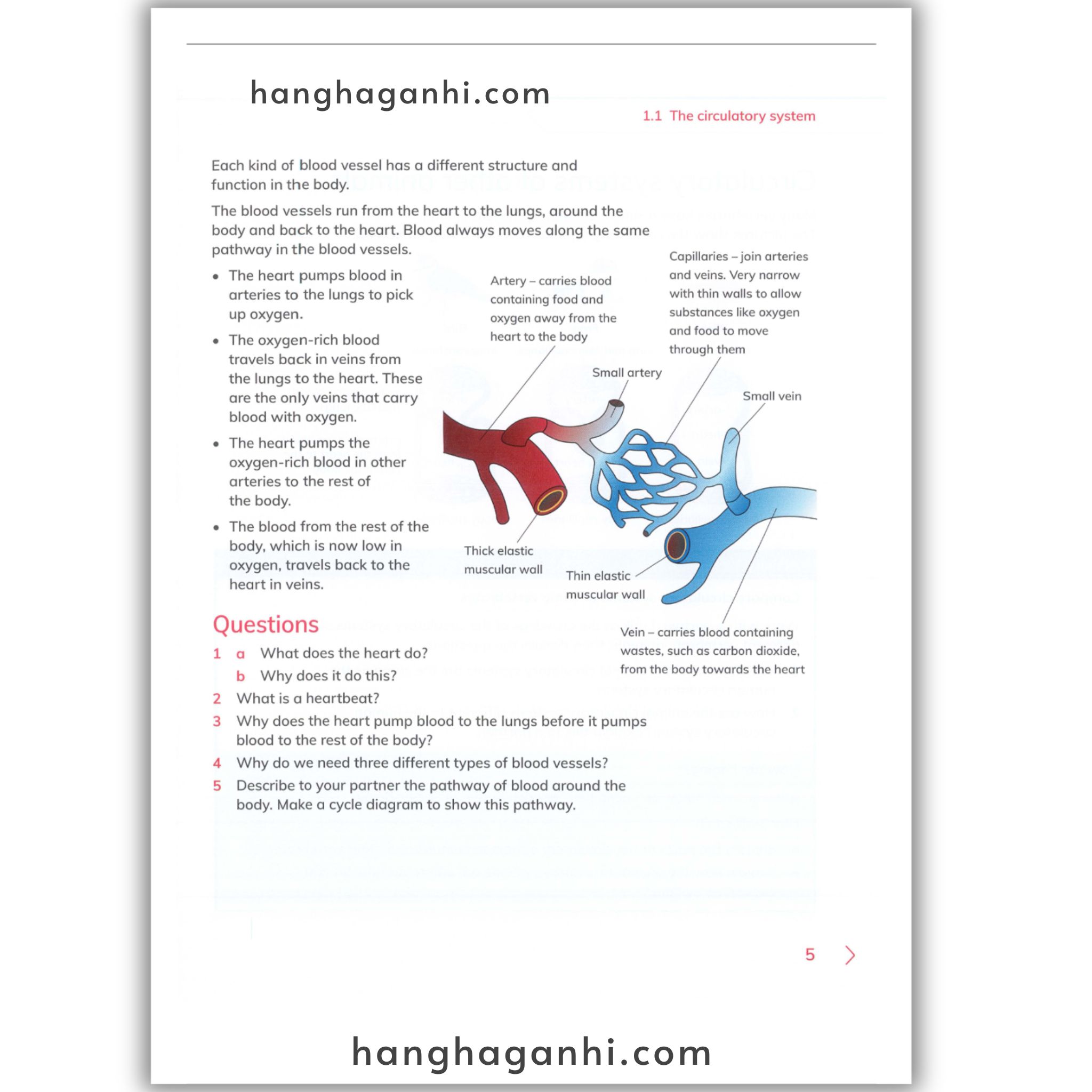 Cambridge Level 6 Primary Science Learner’s Book 2nd edition 2021_thumbnail_9