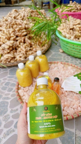 CỐT GỪNG-TRÀM- KHUYNH DIỆP 500ml_thumbnail_1