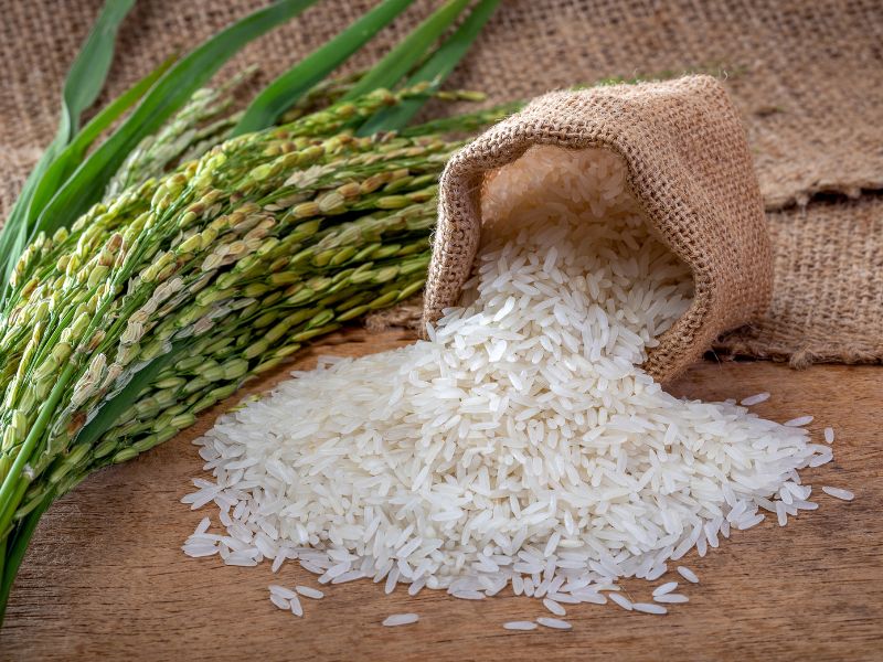 Vietnam Clean Rice – The 9-Step Journey to International-Standard Production