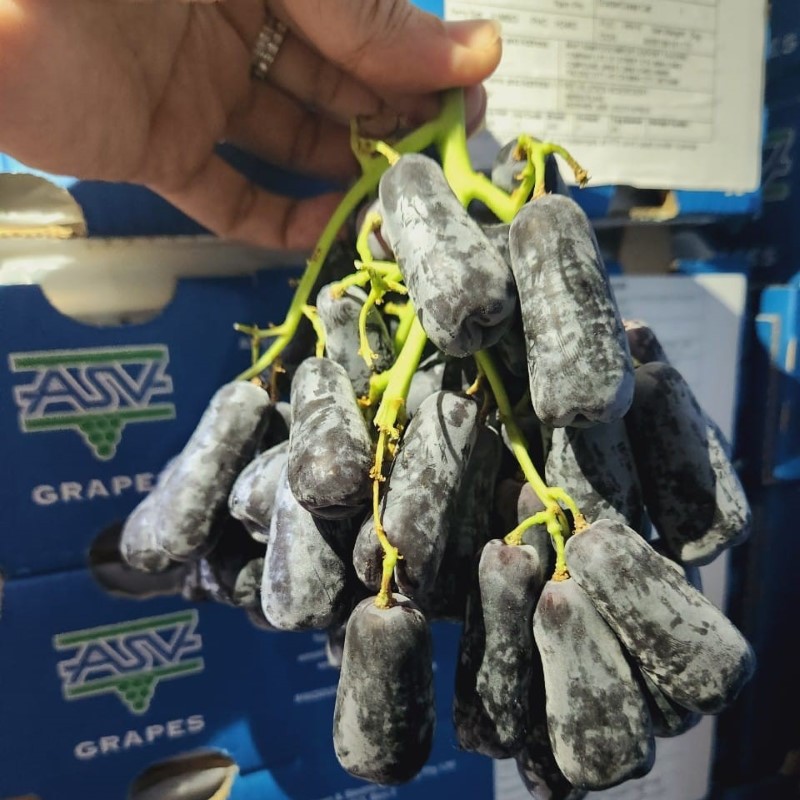 Nho Ngón Tay Nam Phi (ASV)